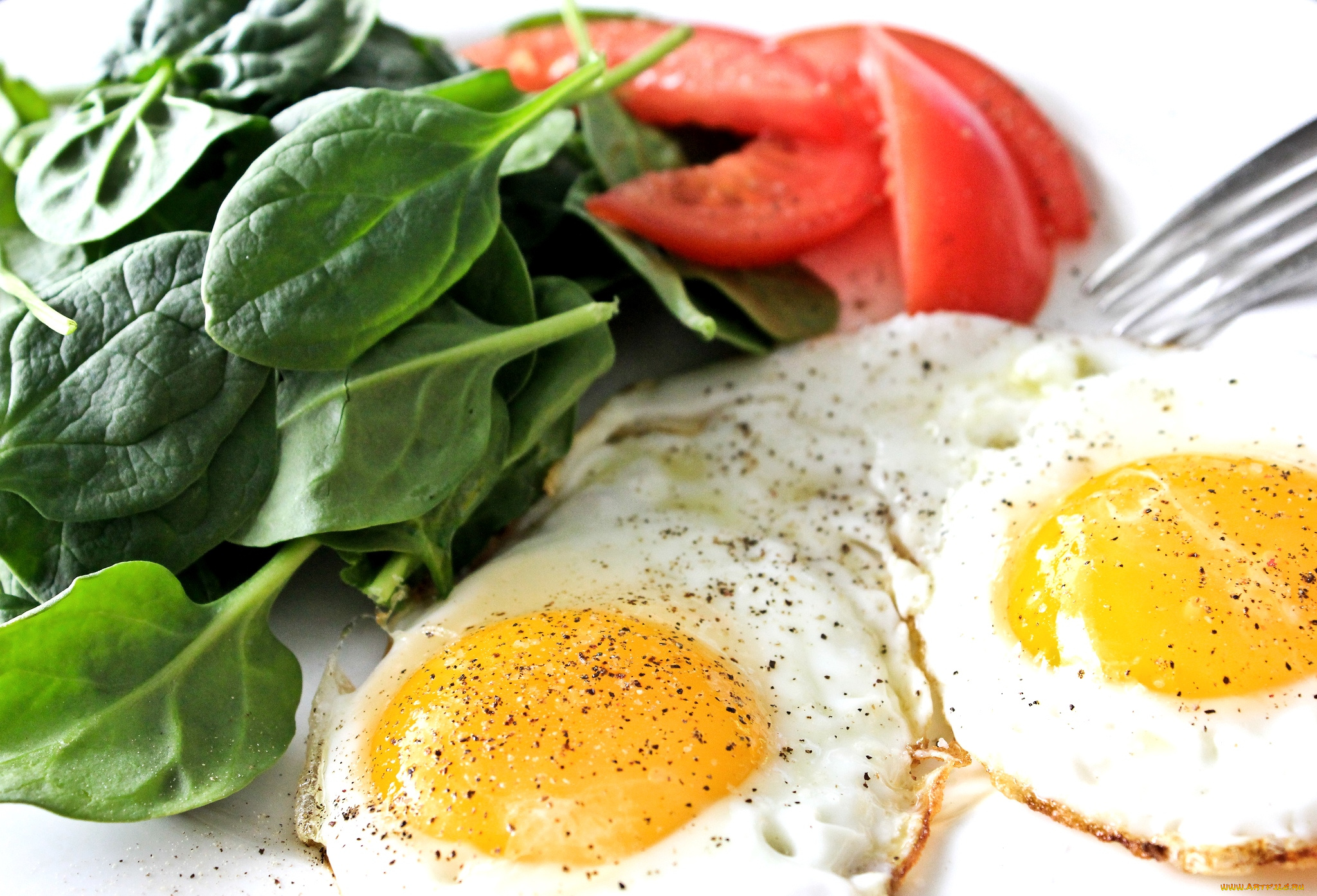 еда, Яичные, блюда, яичница, базилик, специи, помидоры