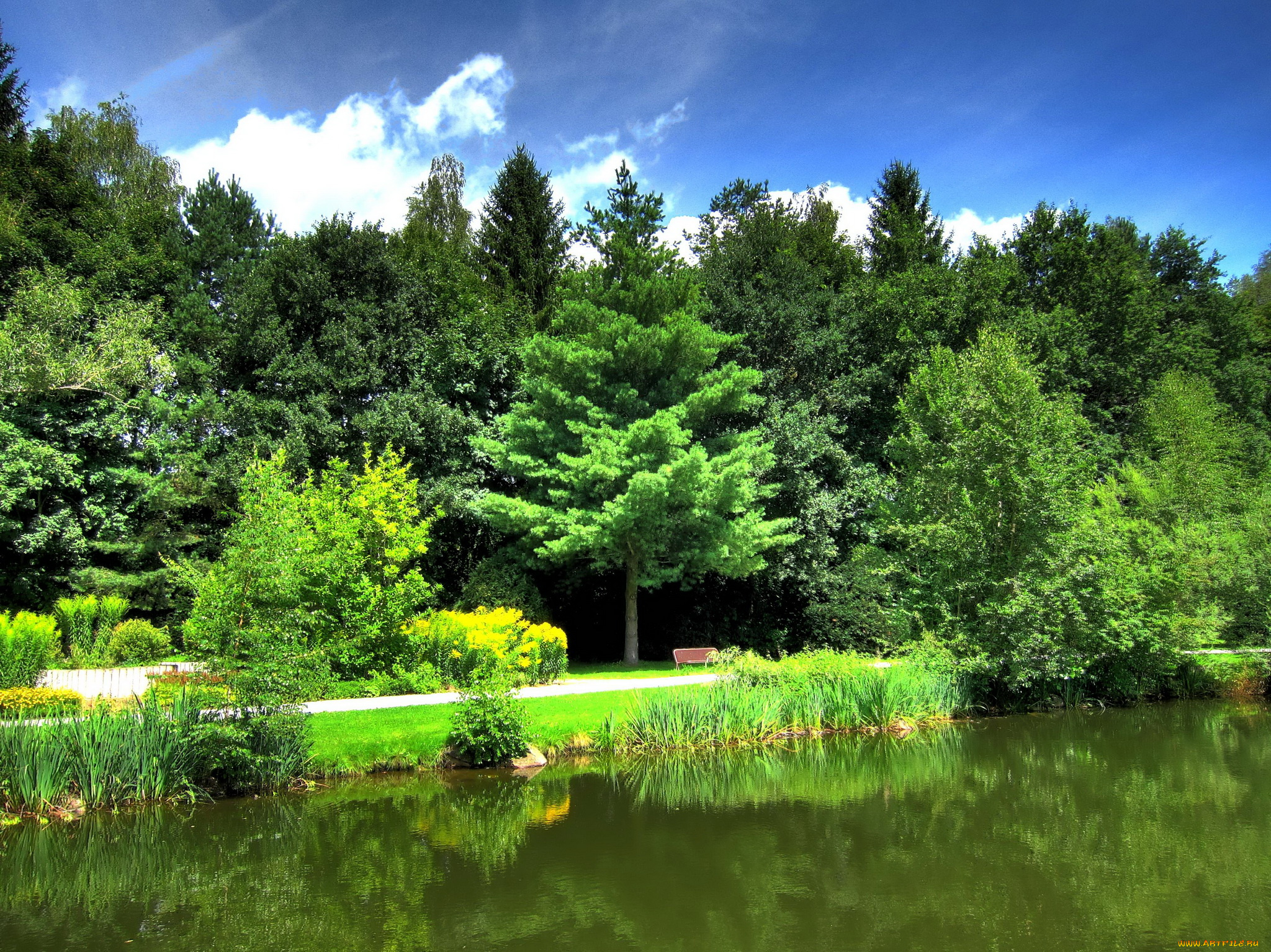 германия, бавария, бад, кёцтинг, природа, парк, деревья, река, берег