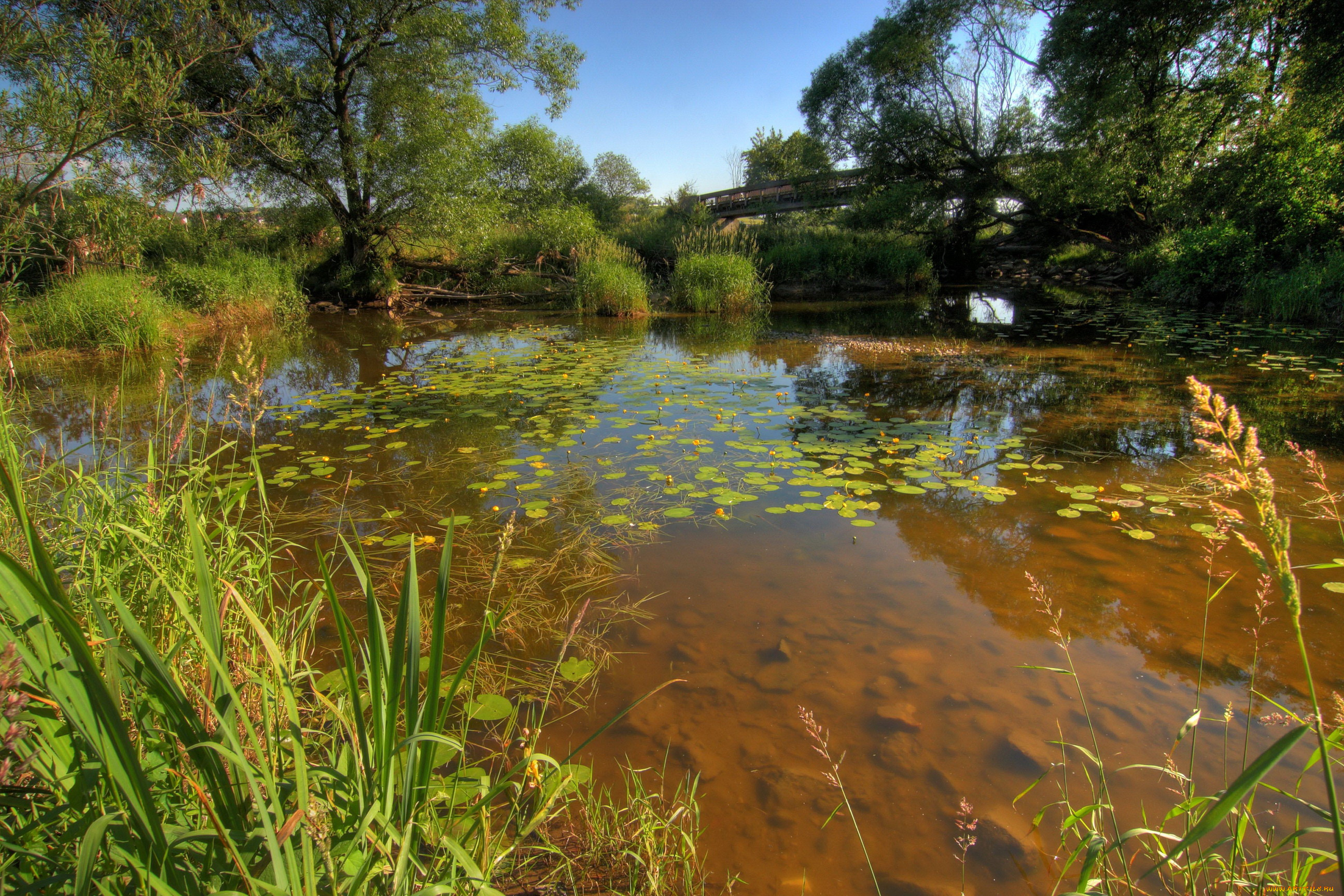 германия, бавария, кам, природа, реки, озера, мост, река, деоевья