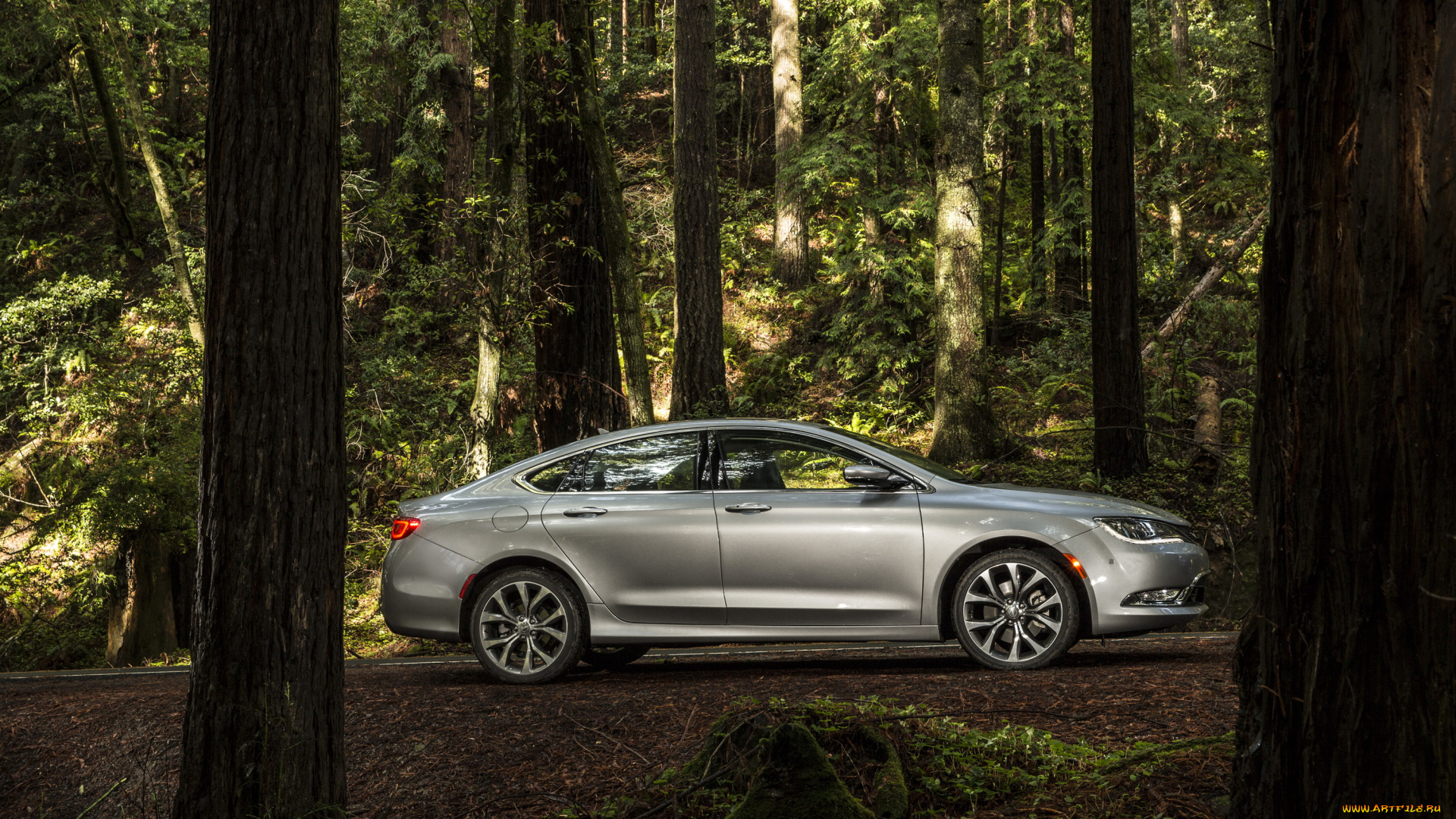 2015, chrysler, 200, sedan, автомобили, chrysler, лес, сбоку, серебристый