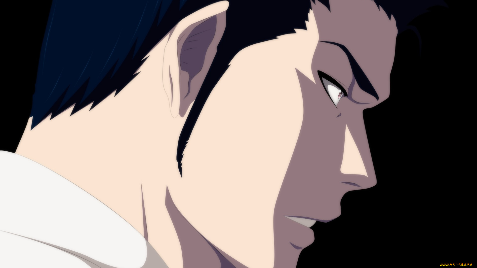 аниме, bleach, anime, isshin, shiba, shinigami