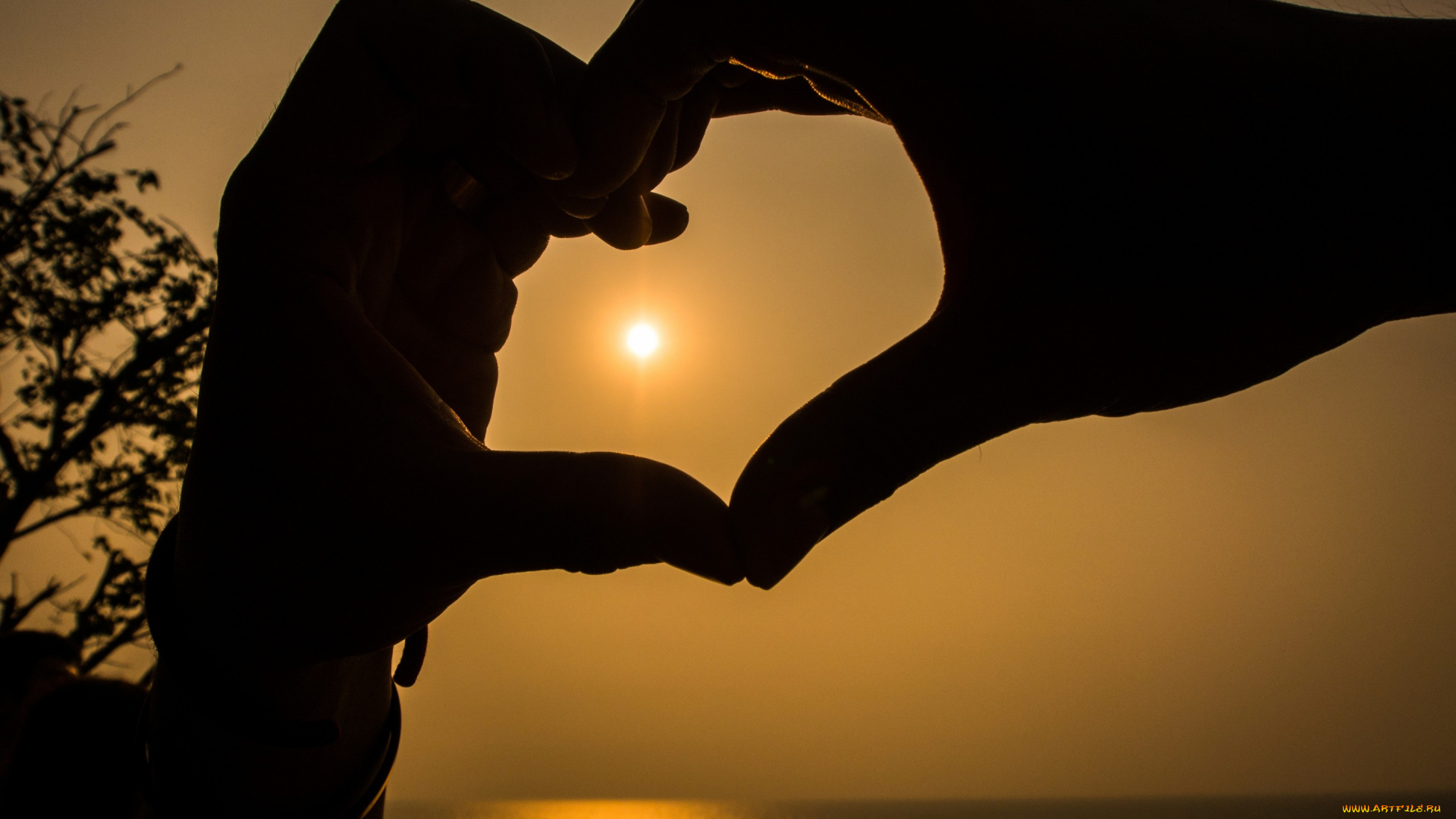 разное, руки, hands, любовь, закат, сердце, romantic, love, sunset, heart
