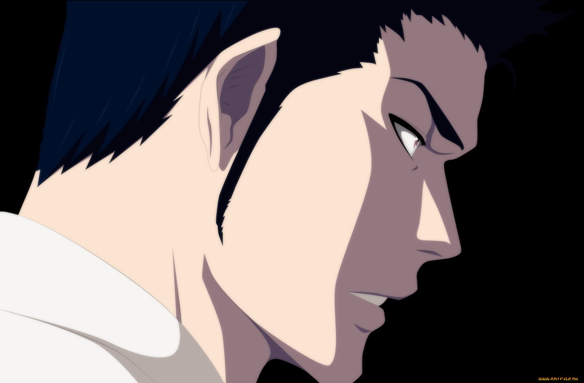аниме, bleach, anime, isshin, shiba, shinigami