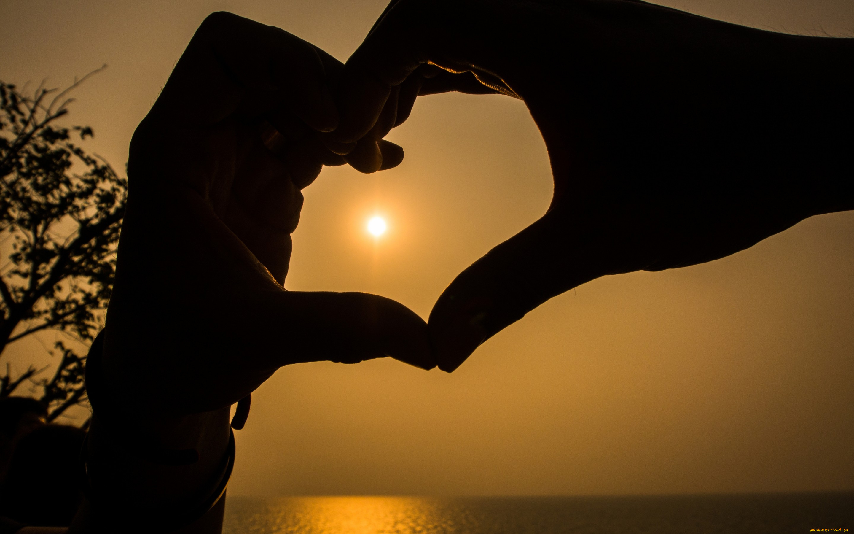 разное, руки, hands, любовь, закат, сердце, romantic, love, sunset, heart