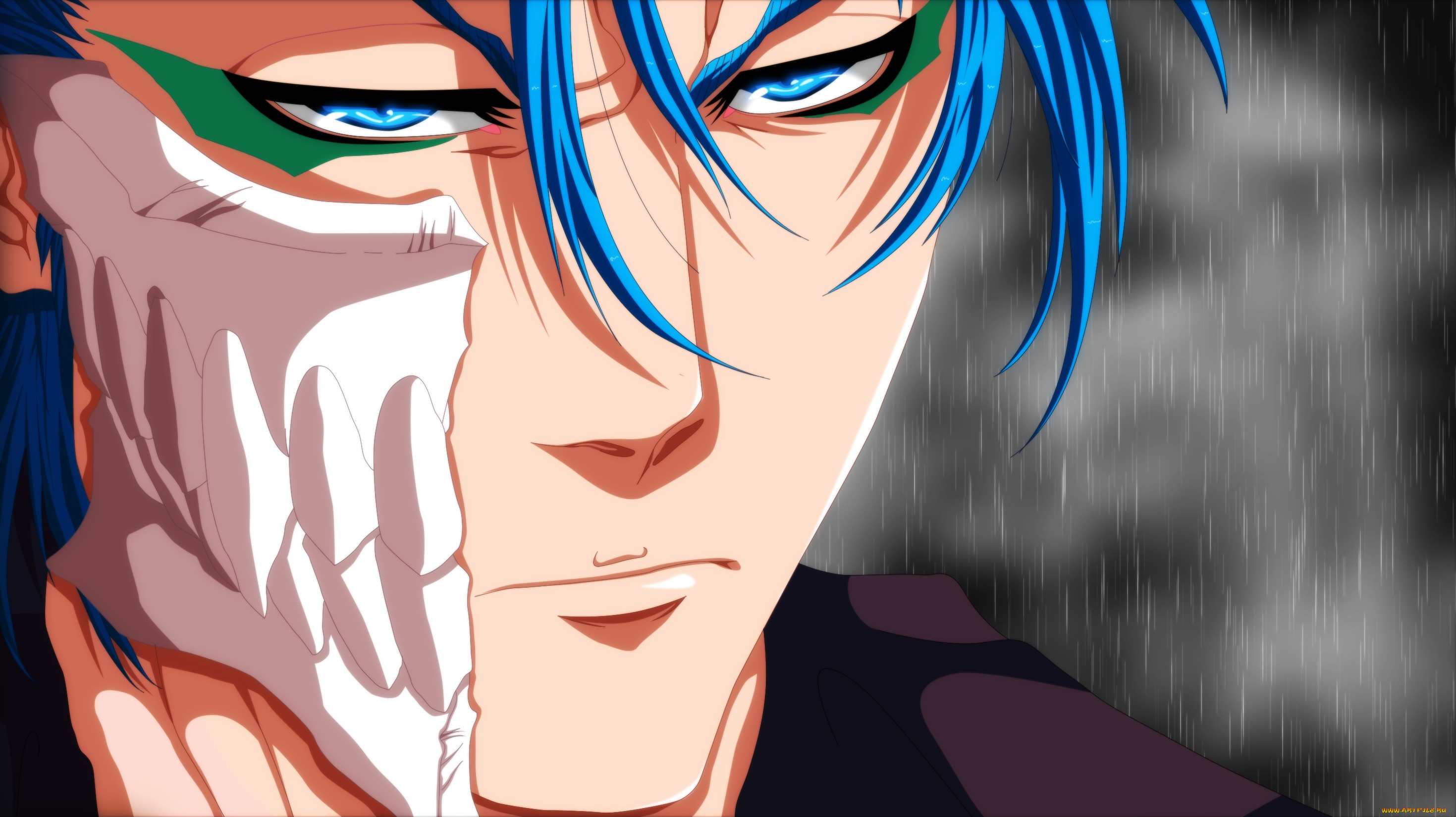 аниме, bleach, лицо, мужчина, grimmjow, jaegerjaquez