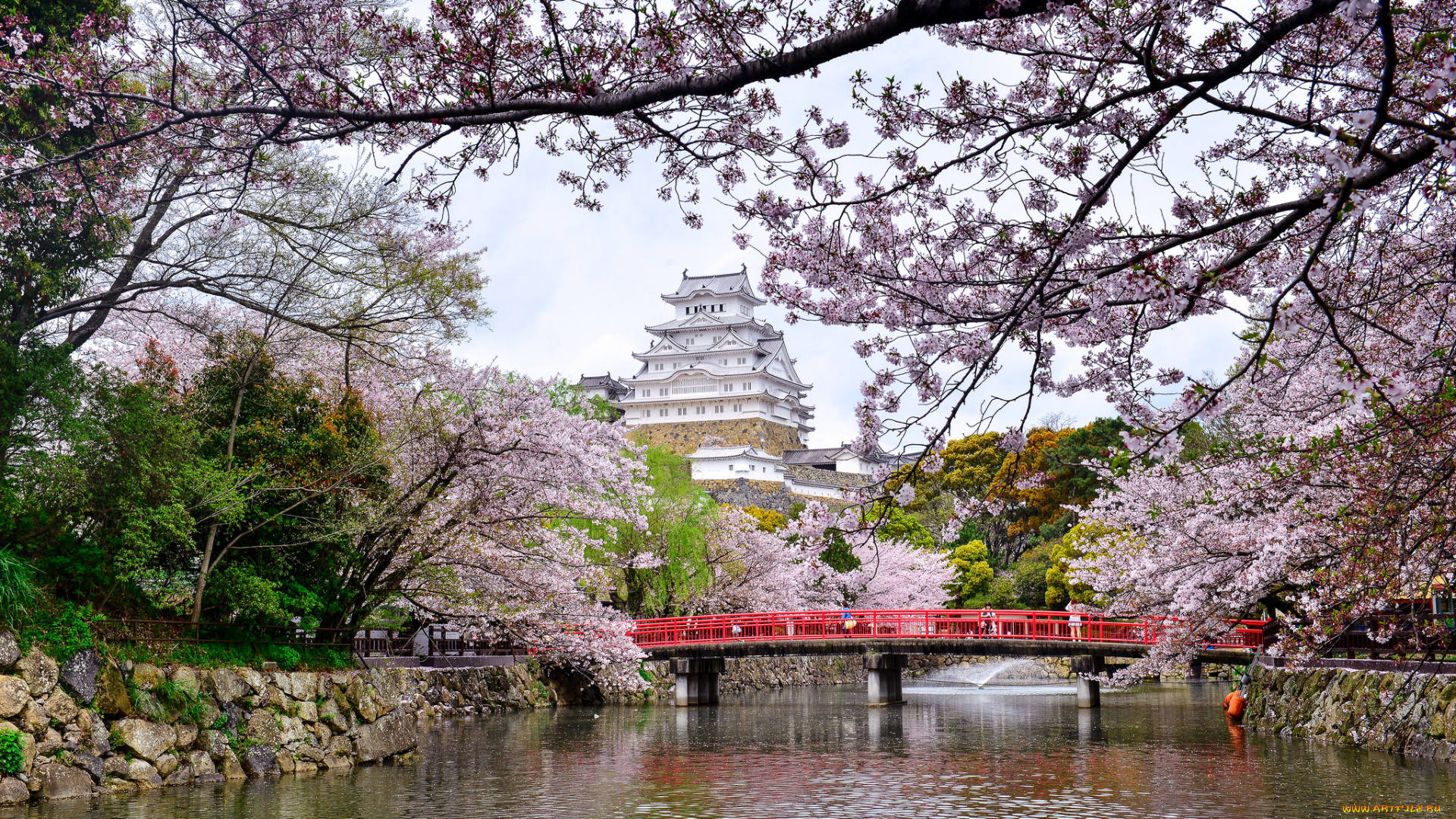 города, замки, Японии, замок, парк