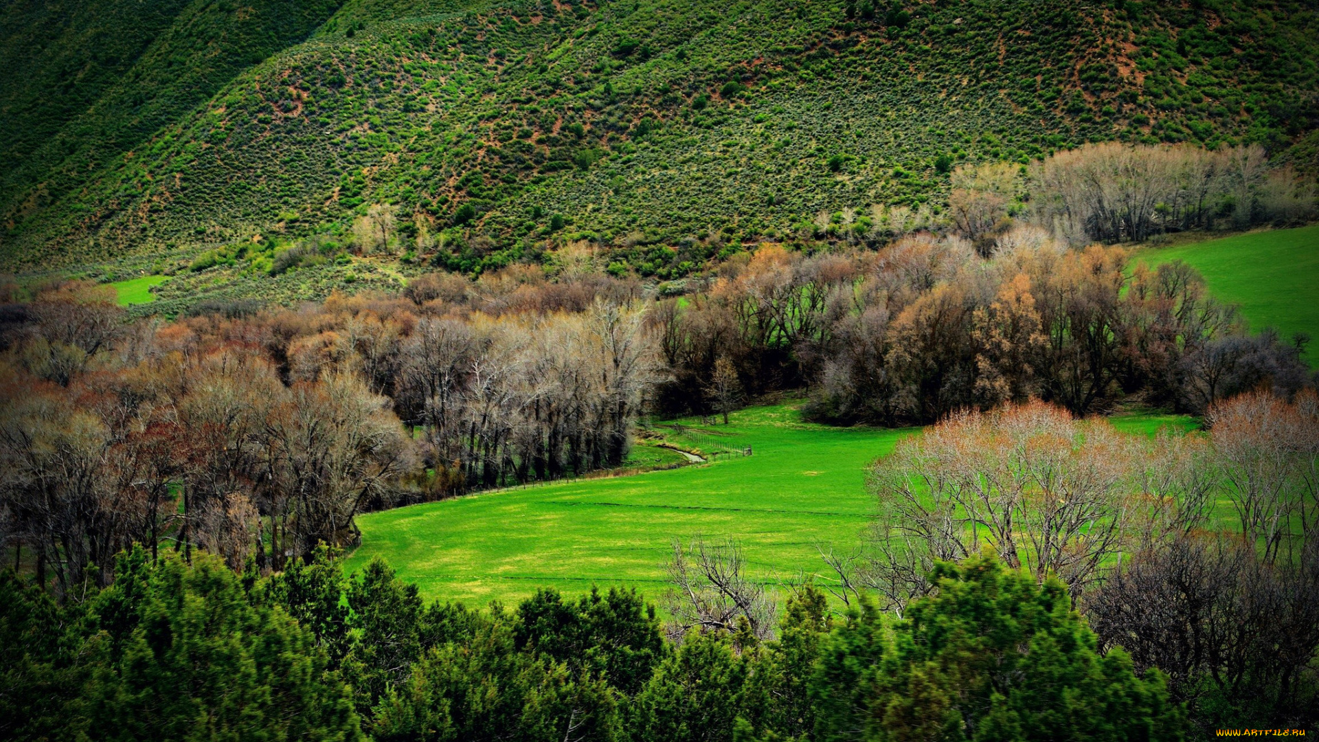 природа, горы, долина