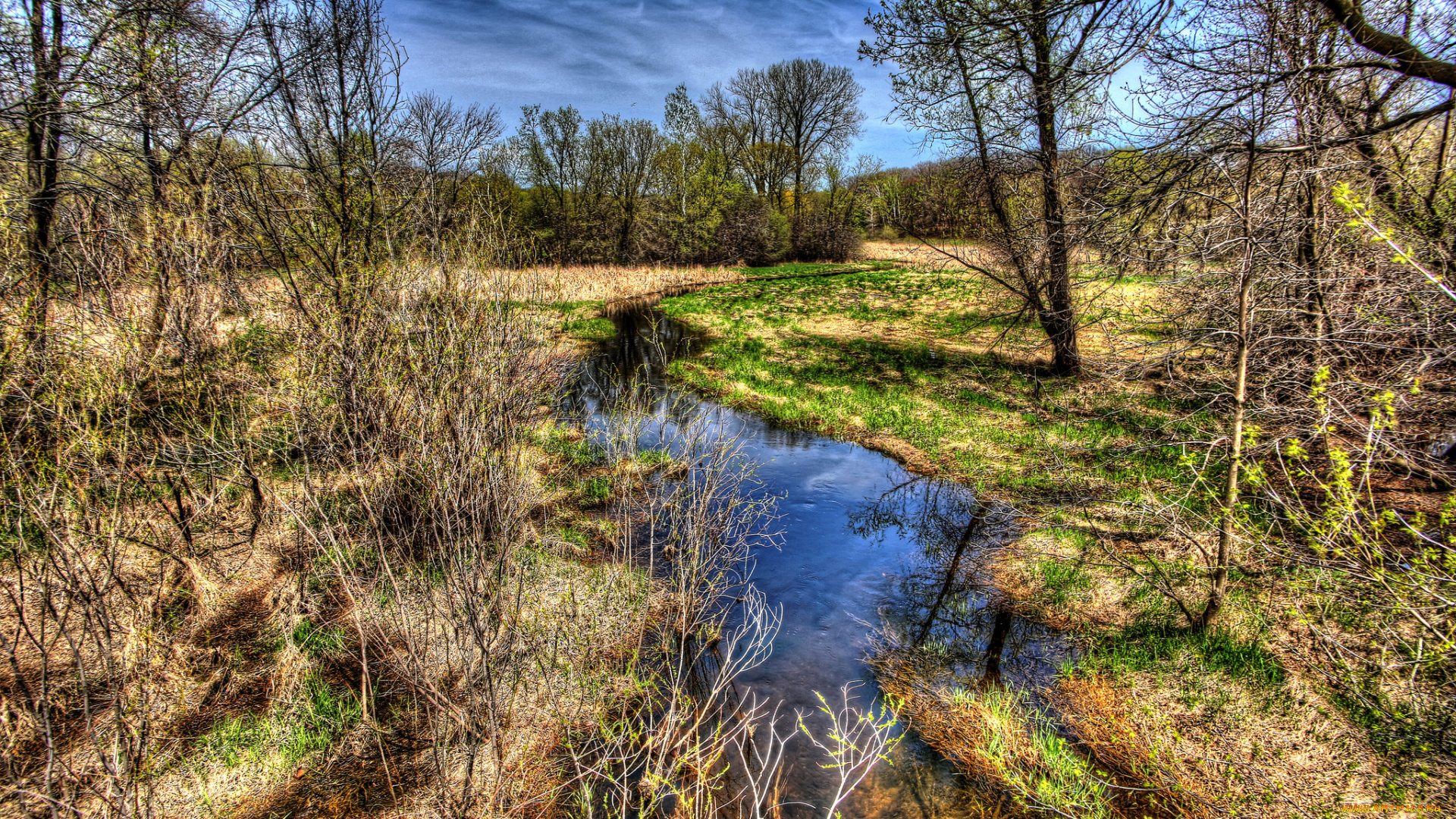 природа, реки, озера, лес, река