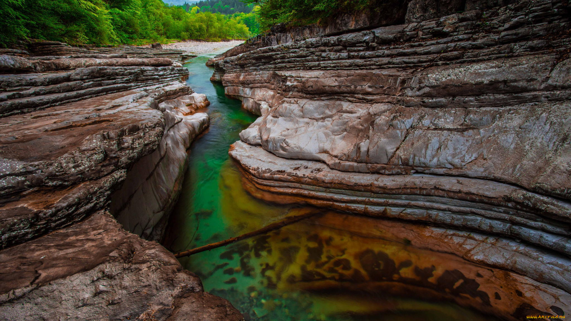 природа, реки, озера, лес, река, скалы