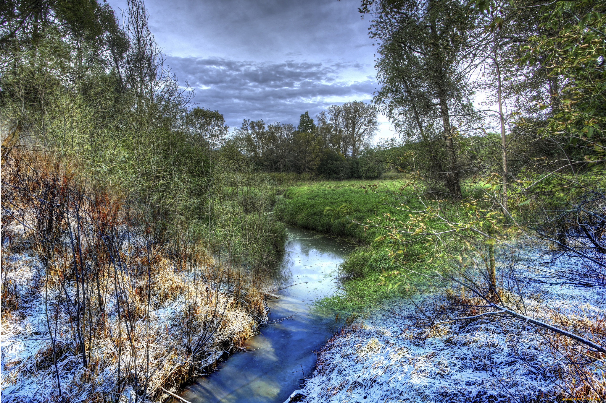 природа, реки, озера, лес, река