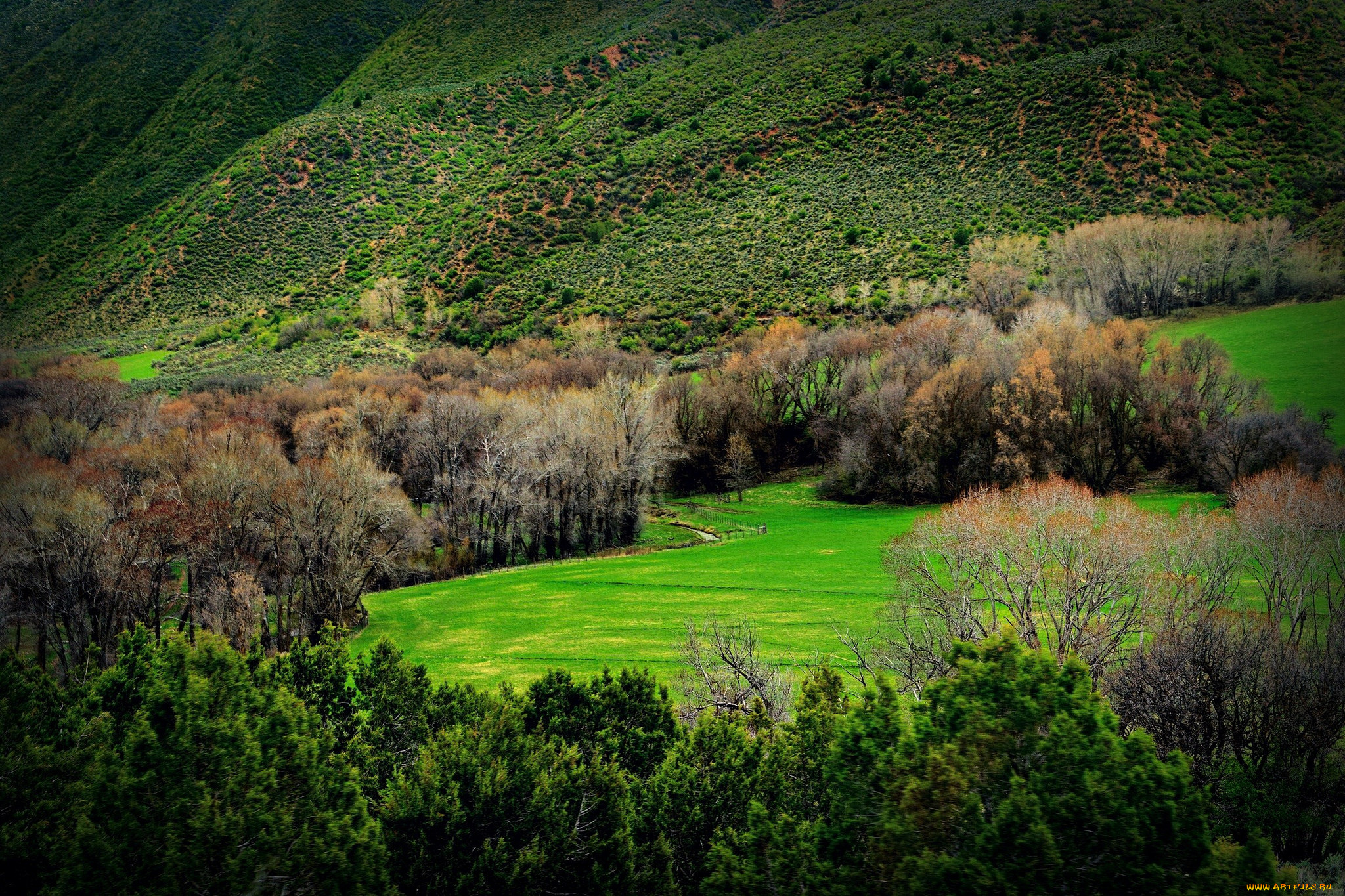 природа, горы, долина