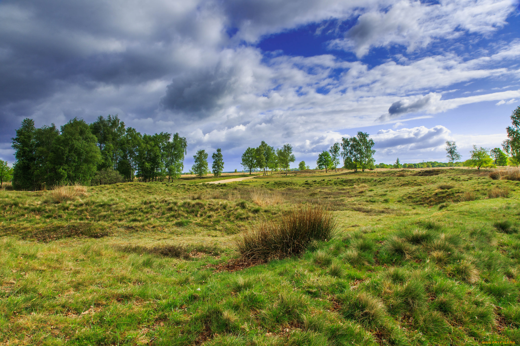 природа, пейзажи, простор