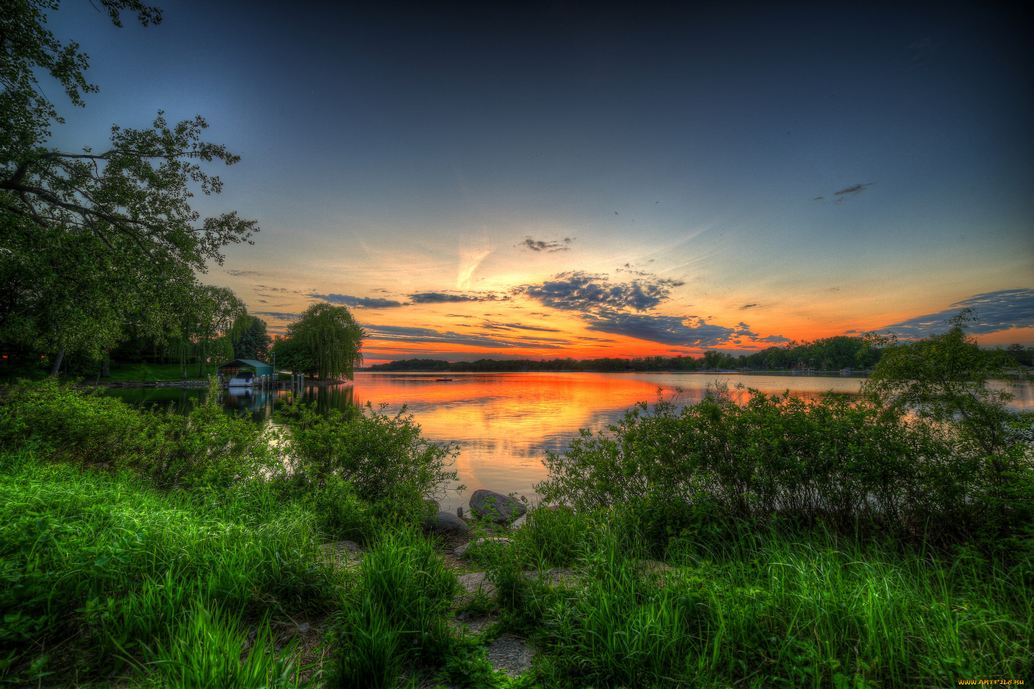 природа, реки, озера, лес, река