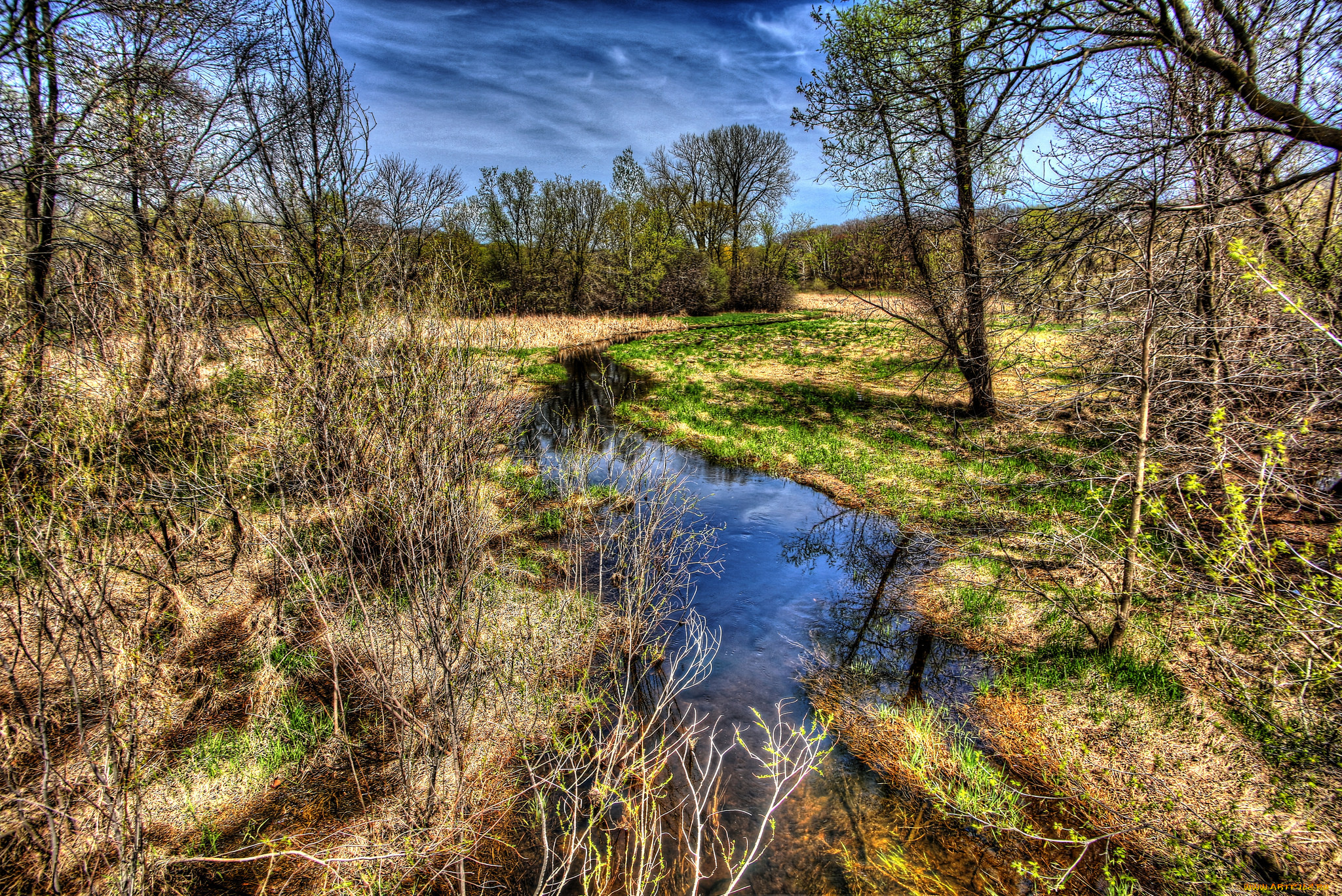 природа, реки, озера, лес, река