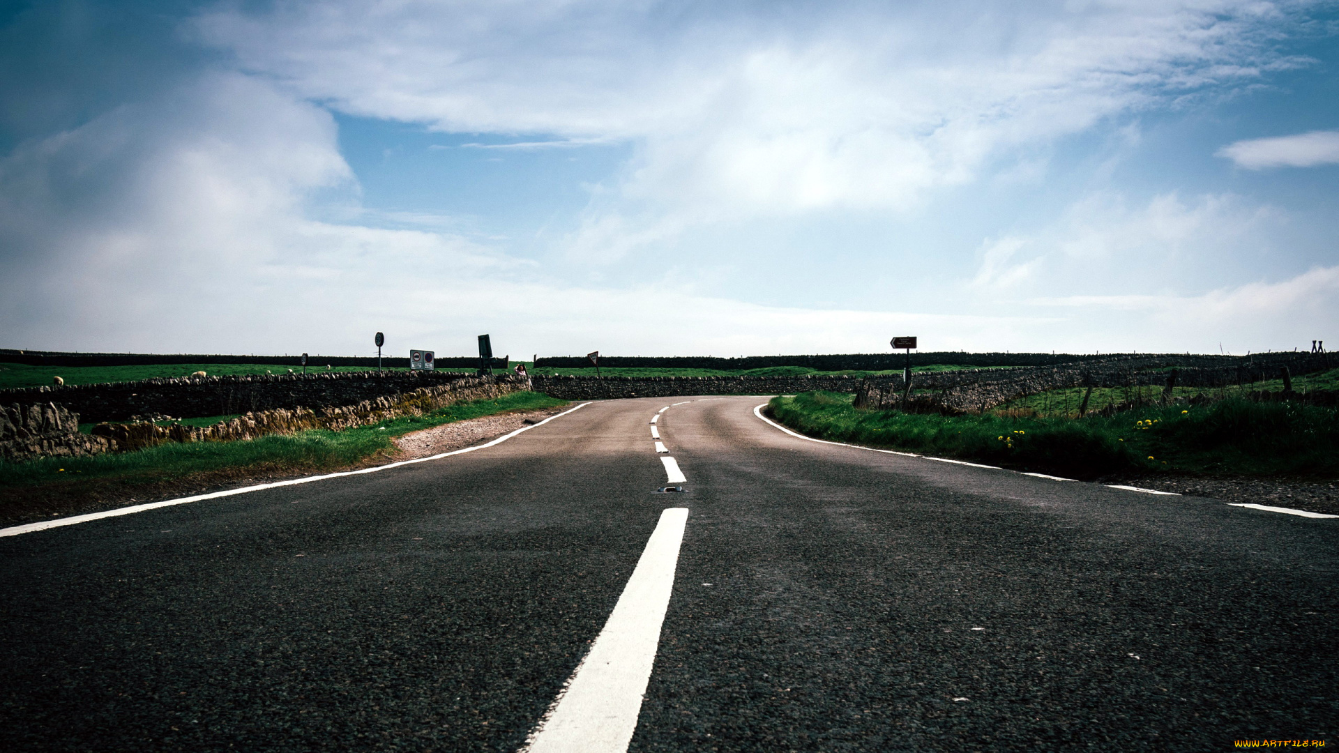 природа, дороги, поворот, разметка, шоссе