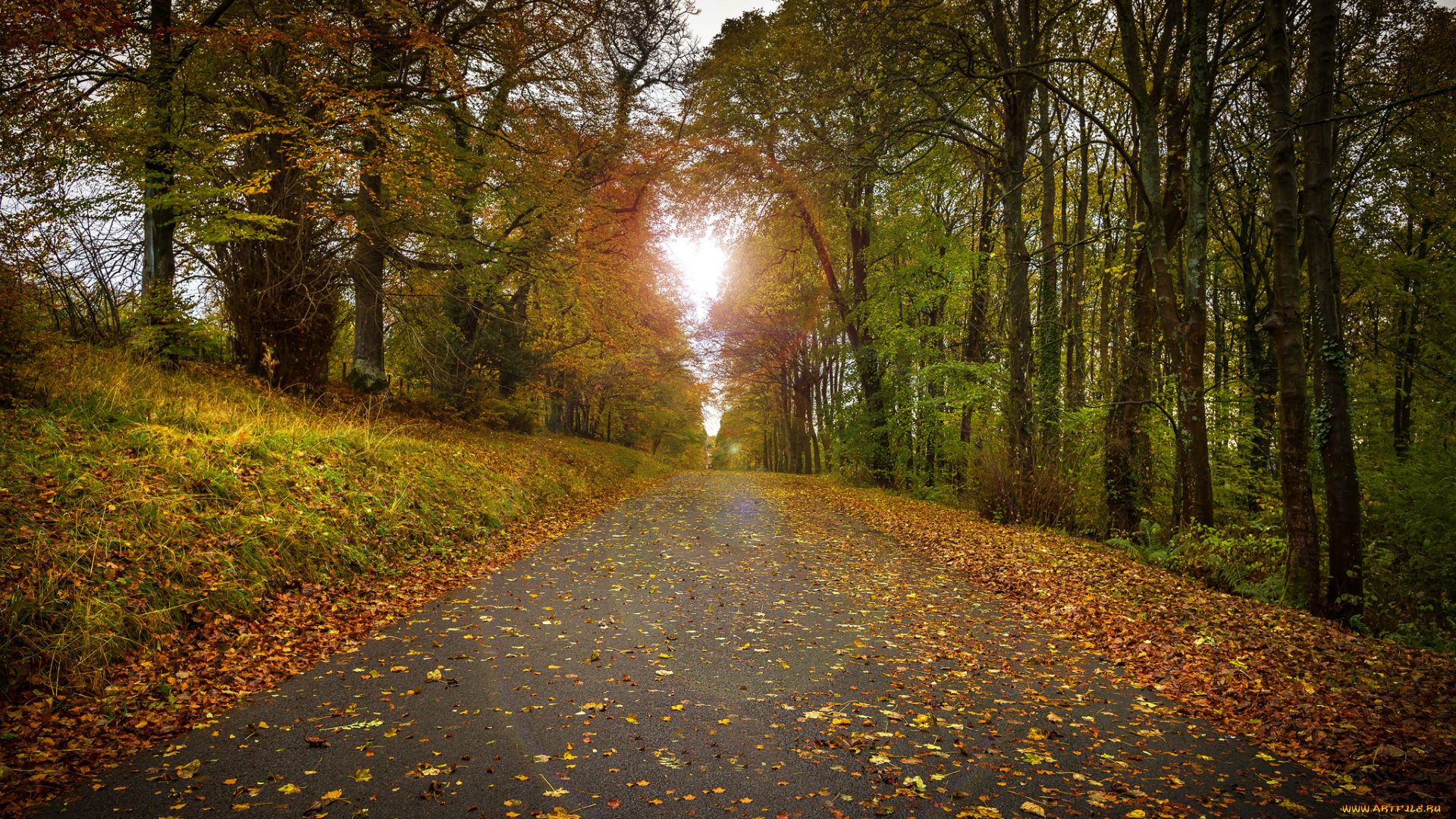 природа, дороги, тракт