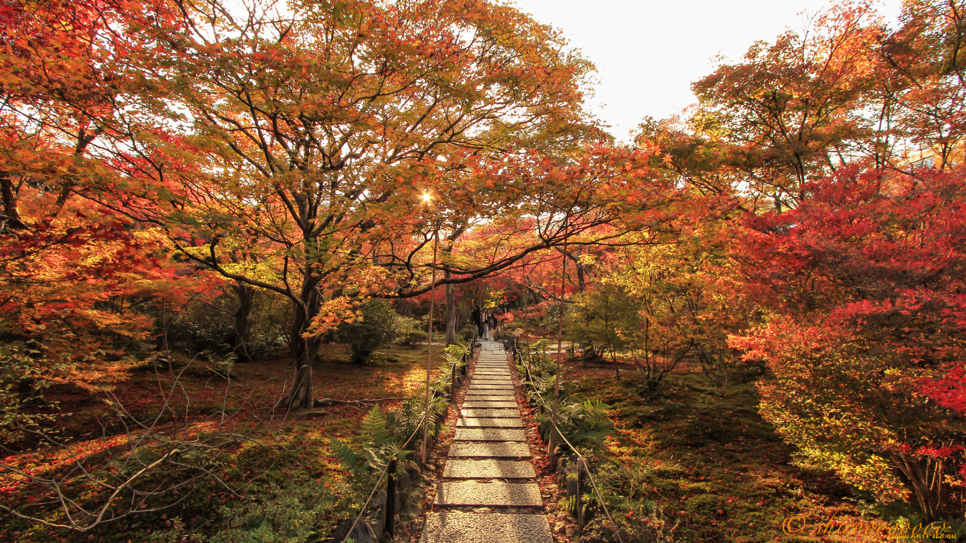 природа, дороги, тракт