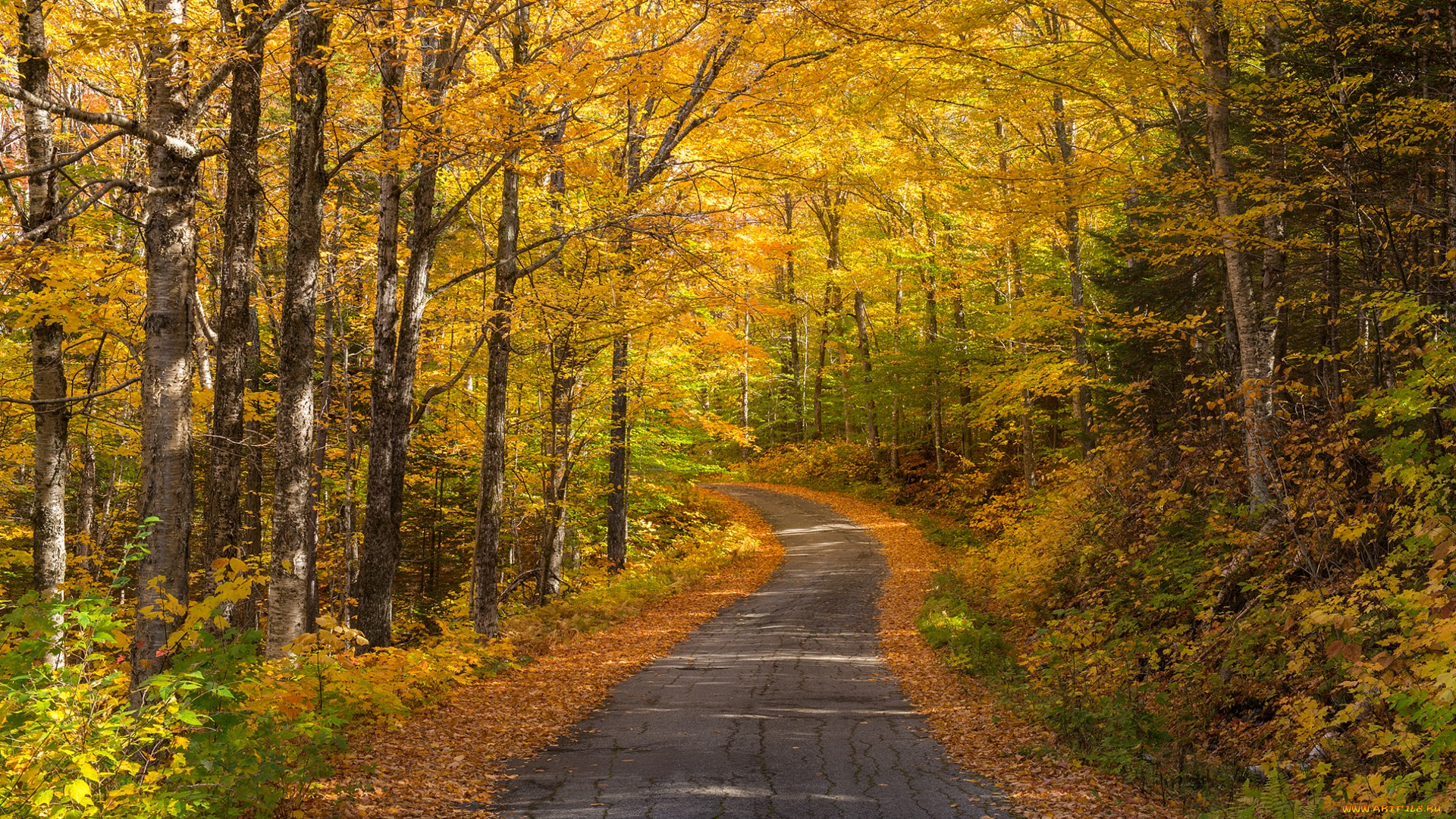 природа, дороги, тракт