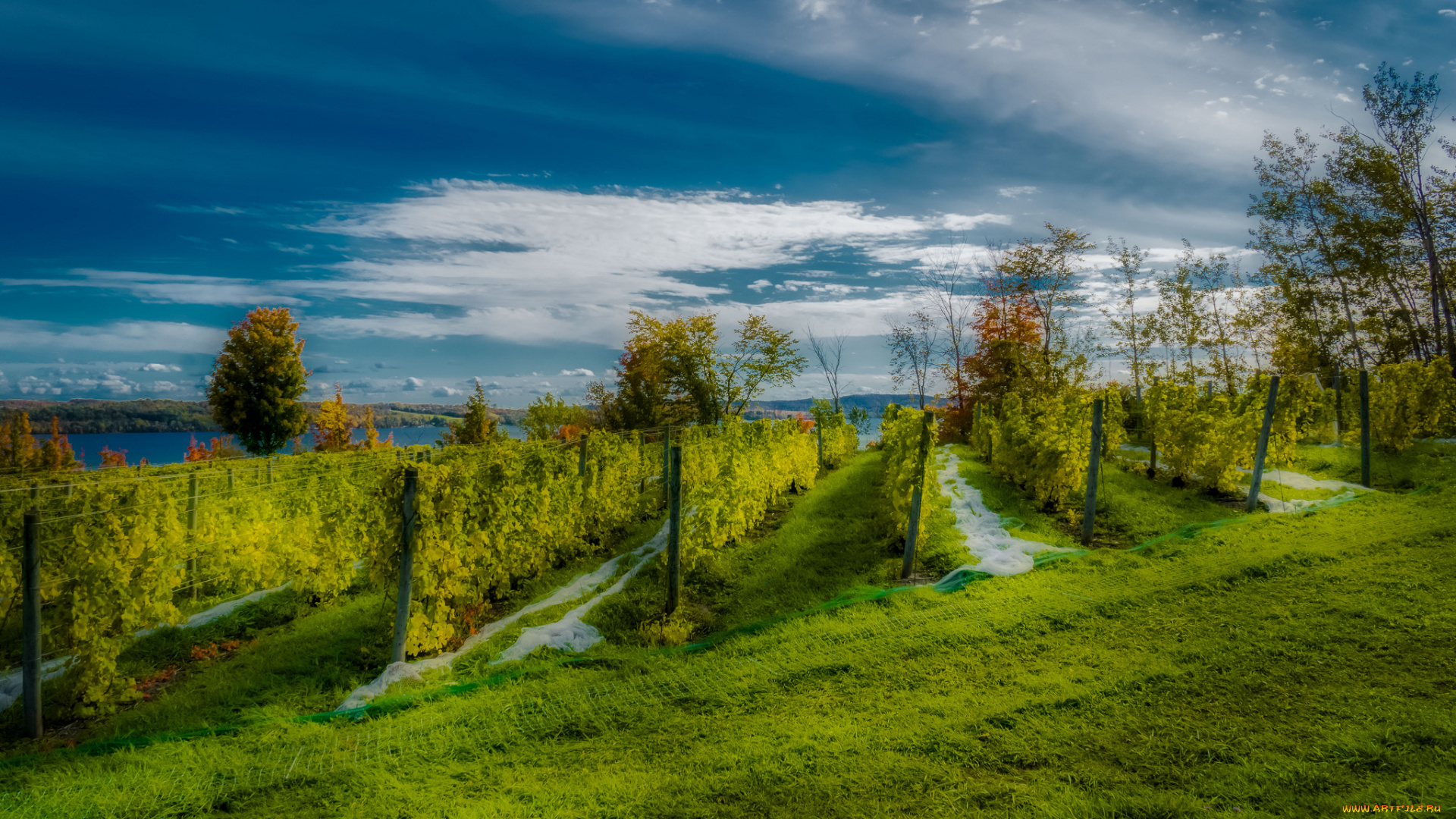 природа, пейзажи, простор