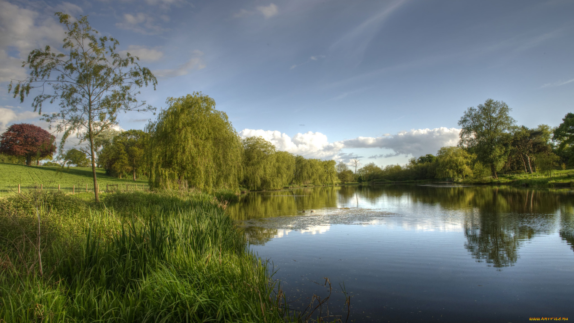 природа, реки, озера, лес, река