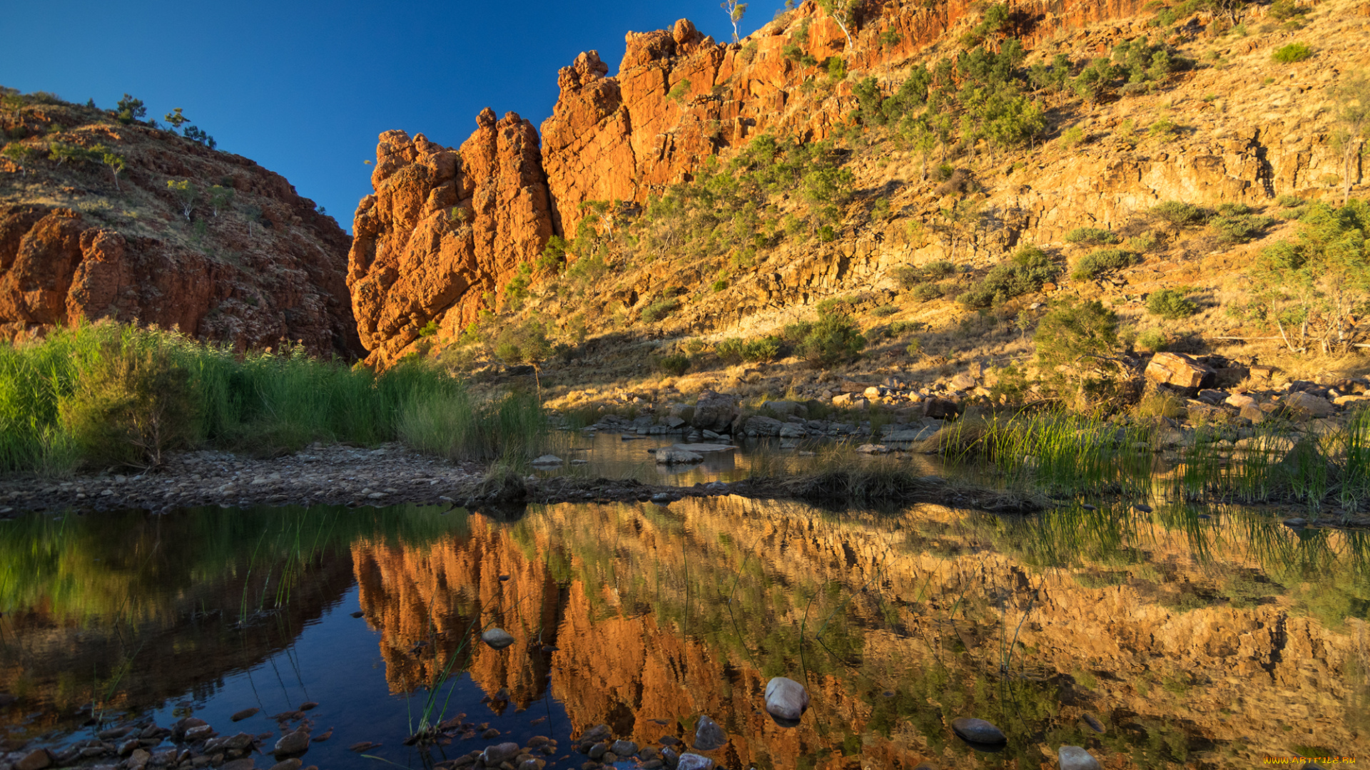 природа, реки, озера, река, лес