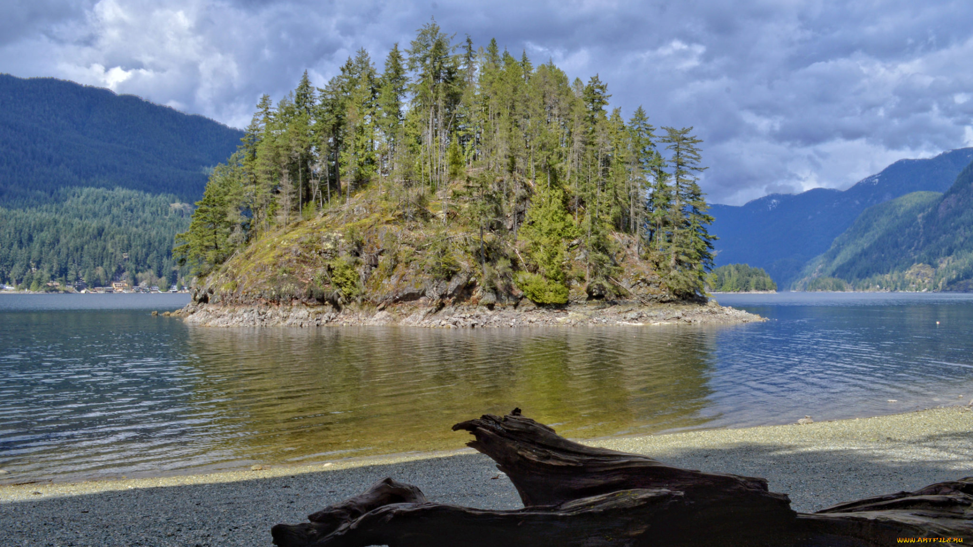 природа, реки, озера, река, лес