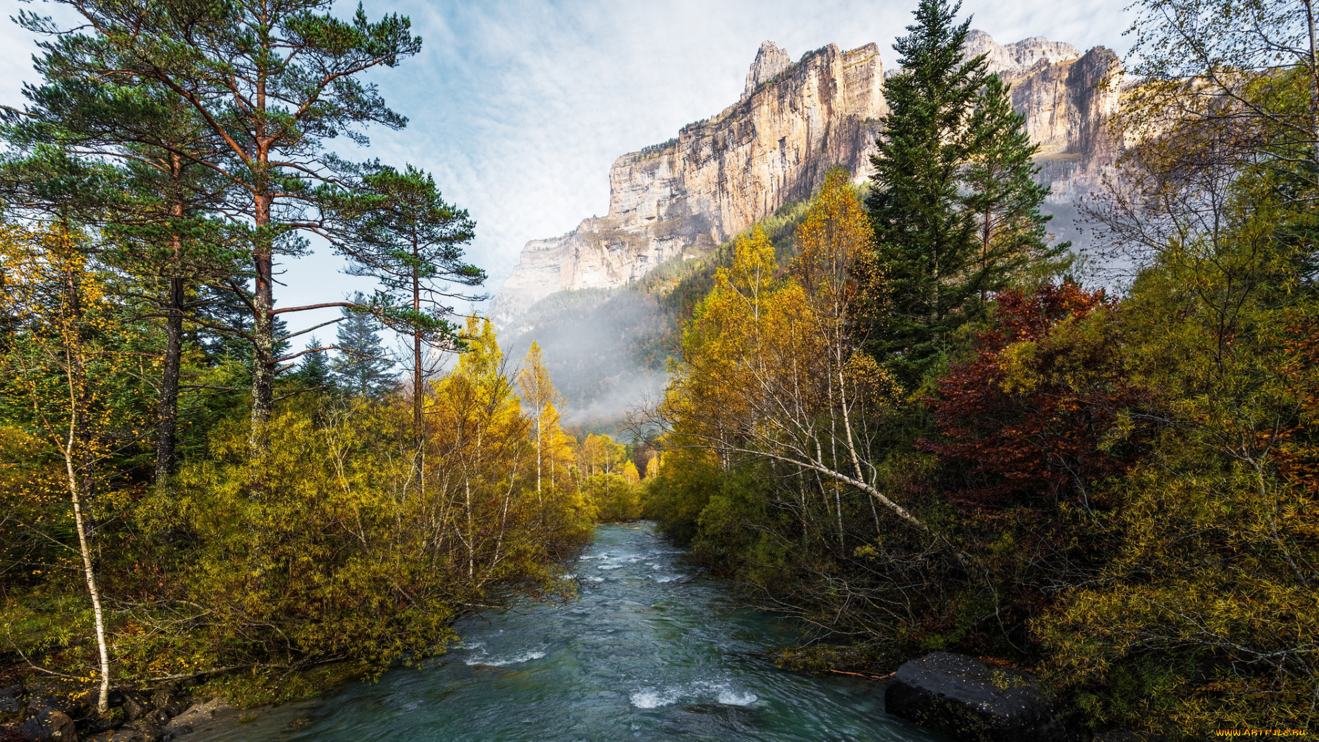 природа, реки, озера, река, лес