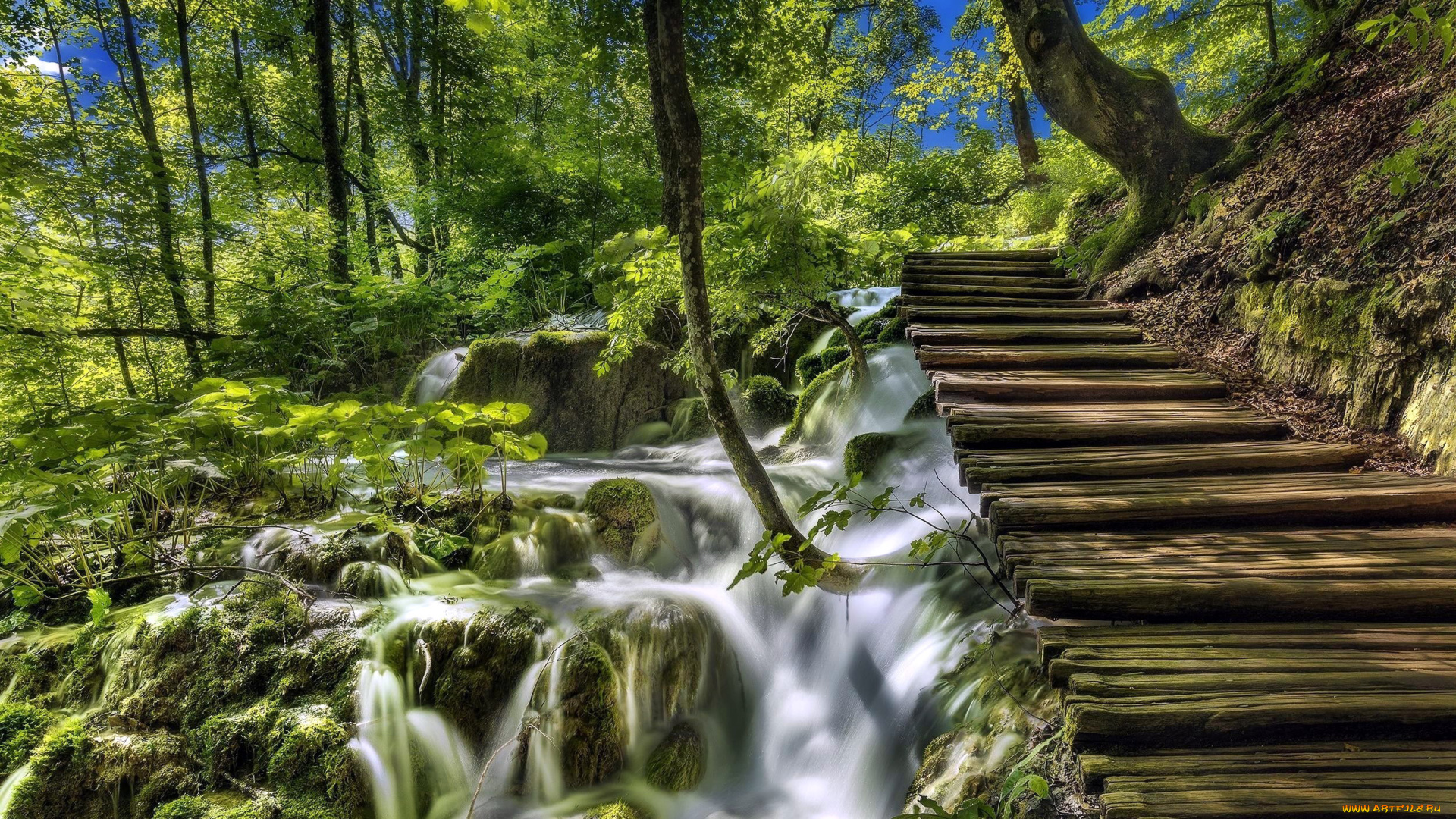 природа, водопады, ступеньки, деревья, вода, потоки