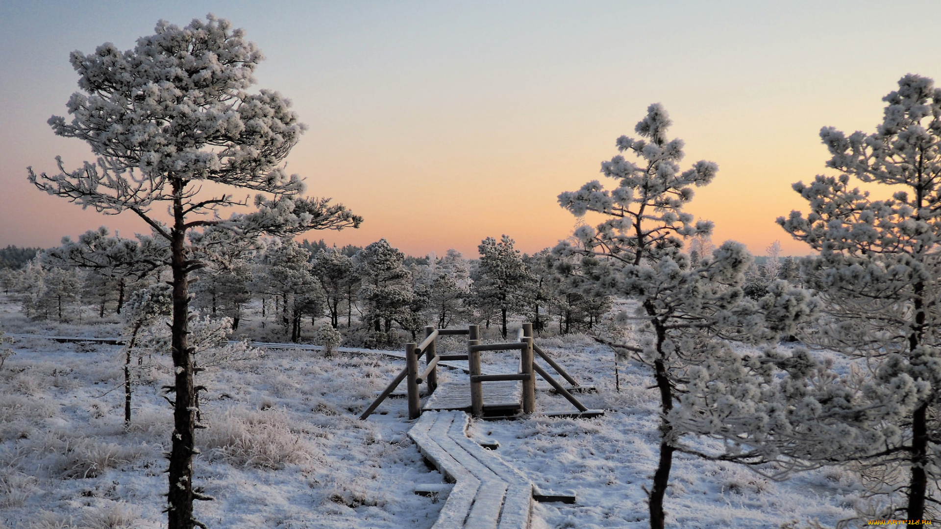 природа, зима, снег