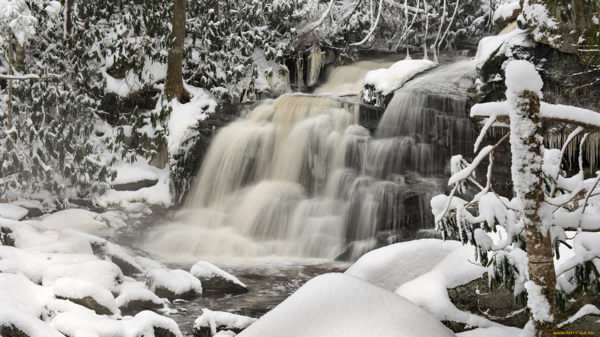 природа, зима, снег