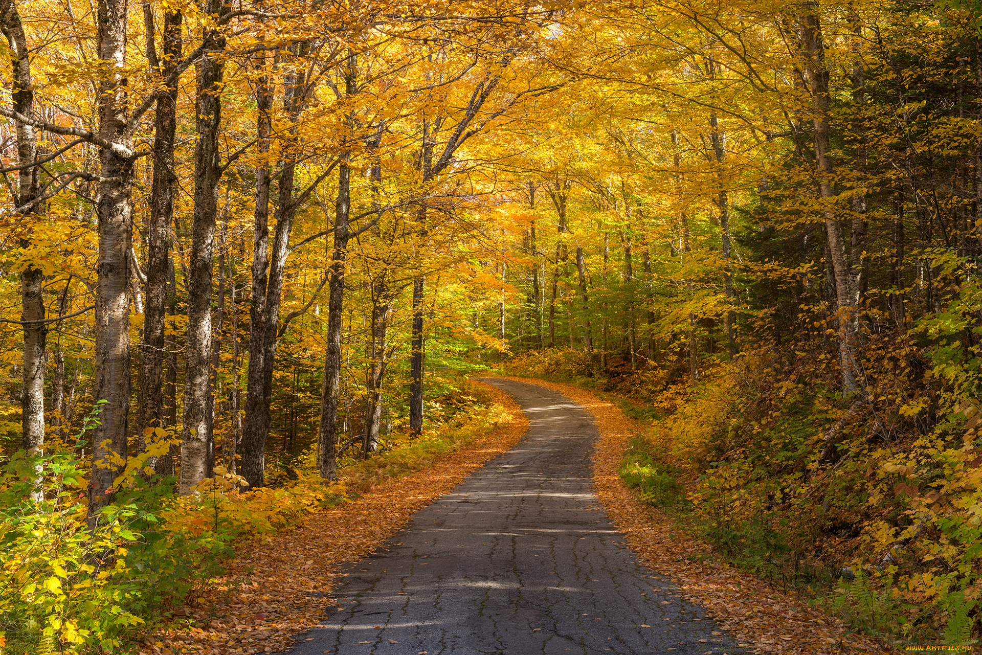 природа, дороги, тракт