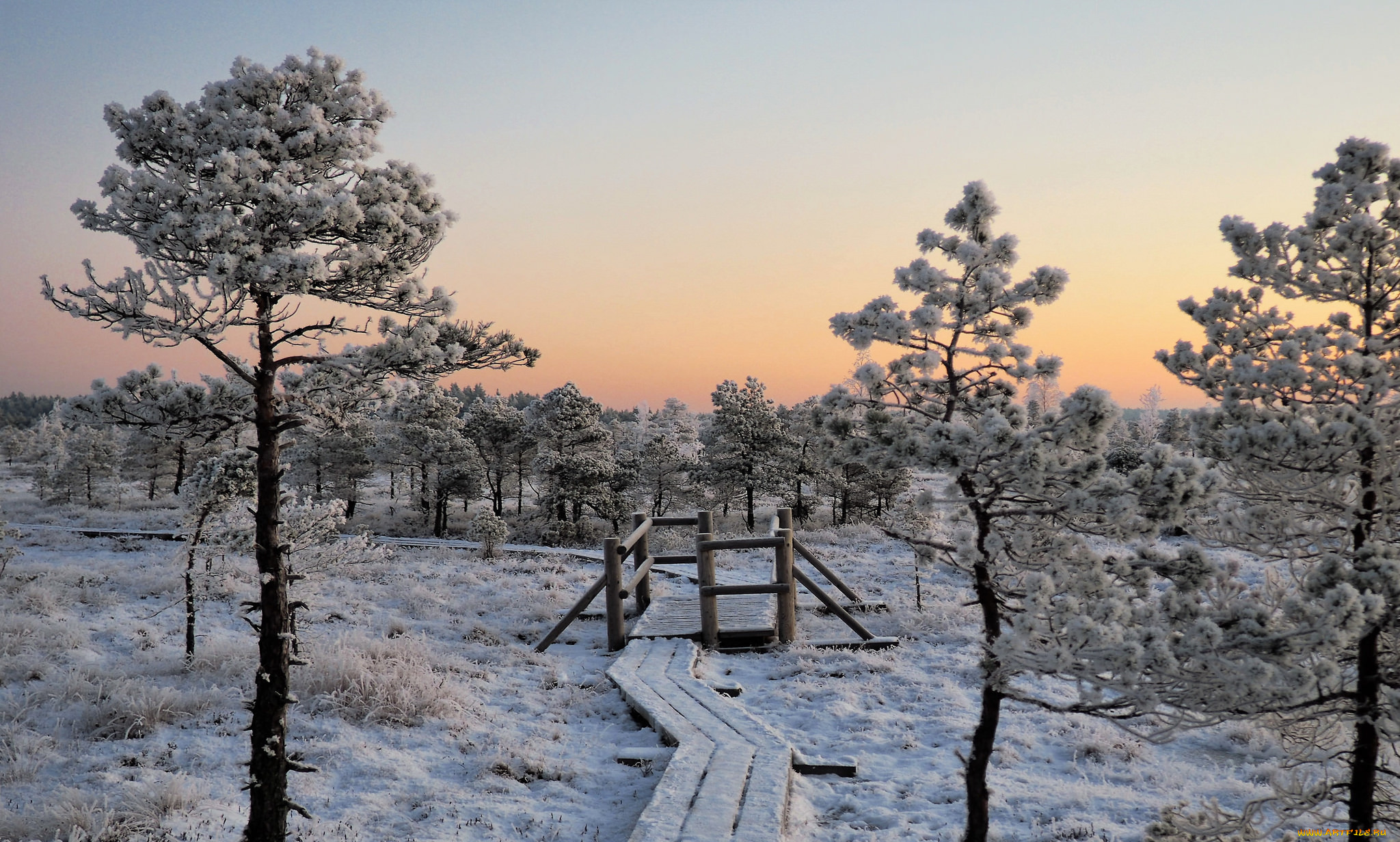 природа, зима, снег