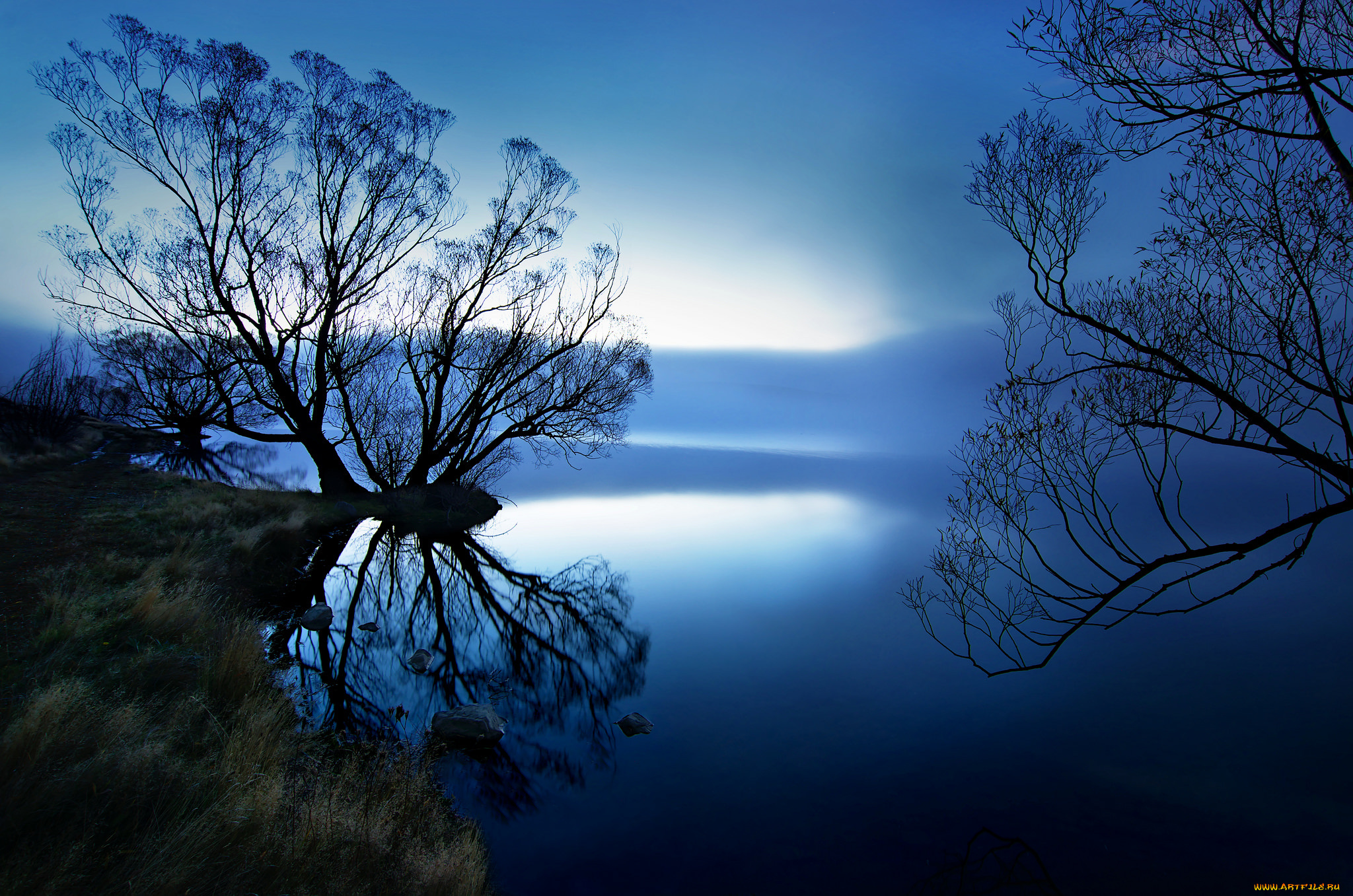 природа, реки, озера, река, лес