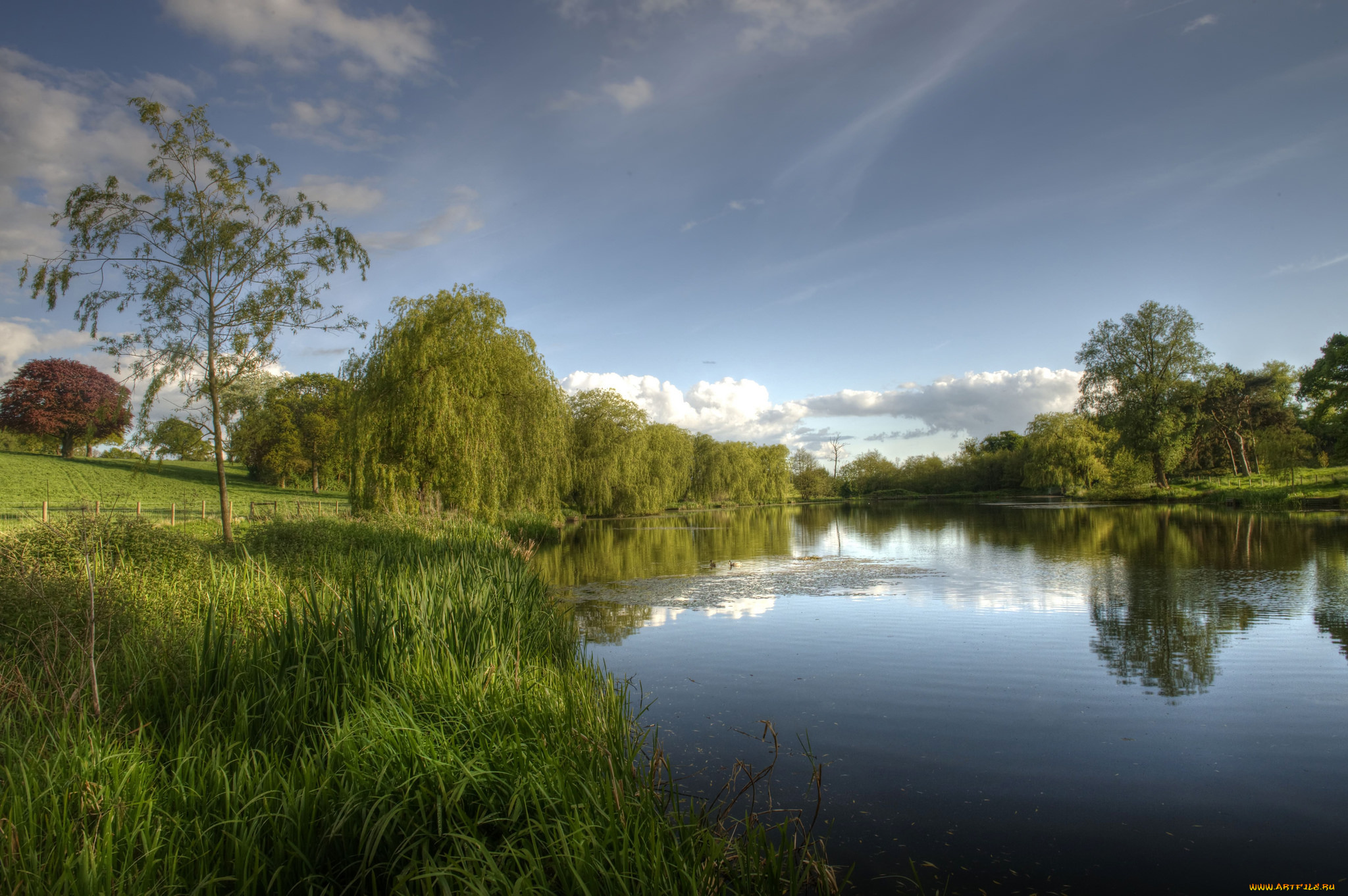 природа, реки, озера, лес, река