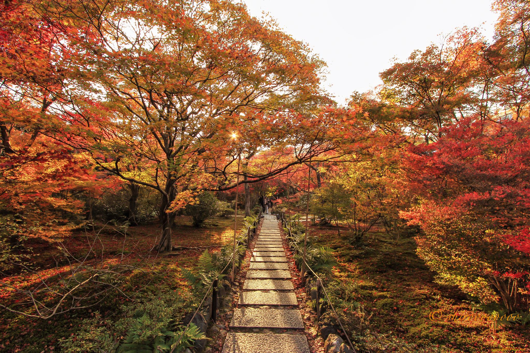 природа, дороги, тракт