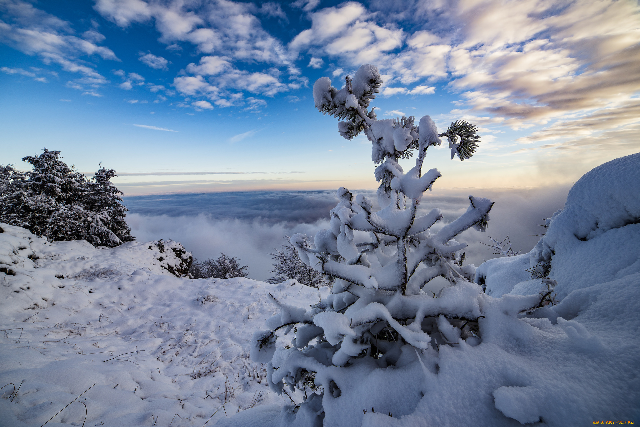 природа, зима, снег