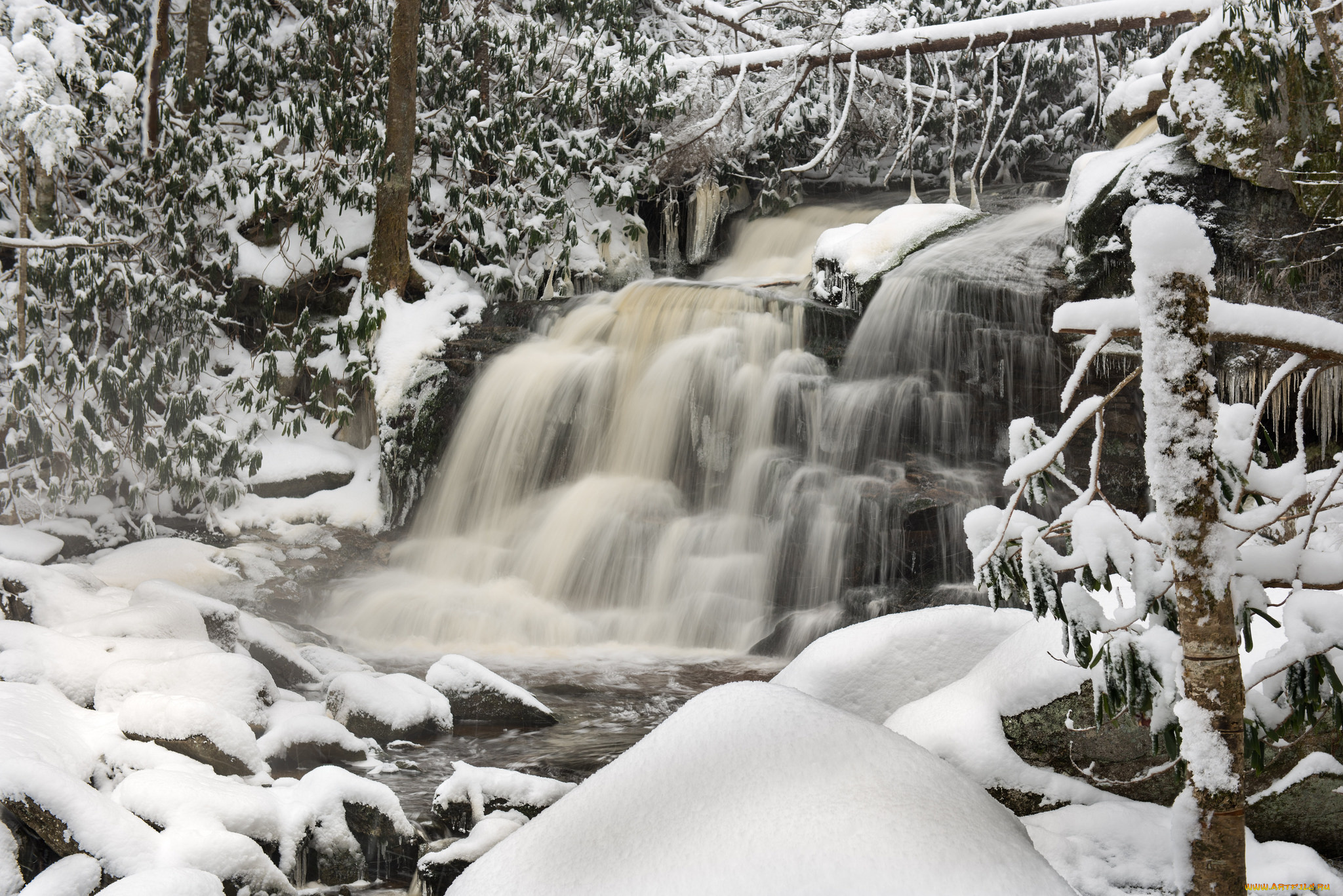 природа, зима, снег