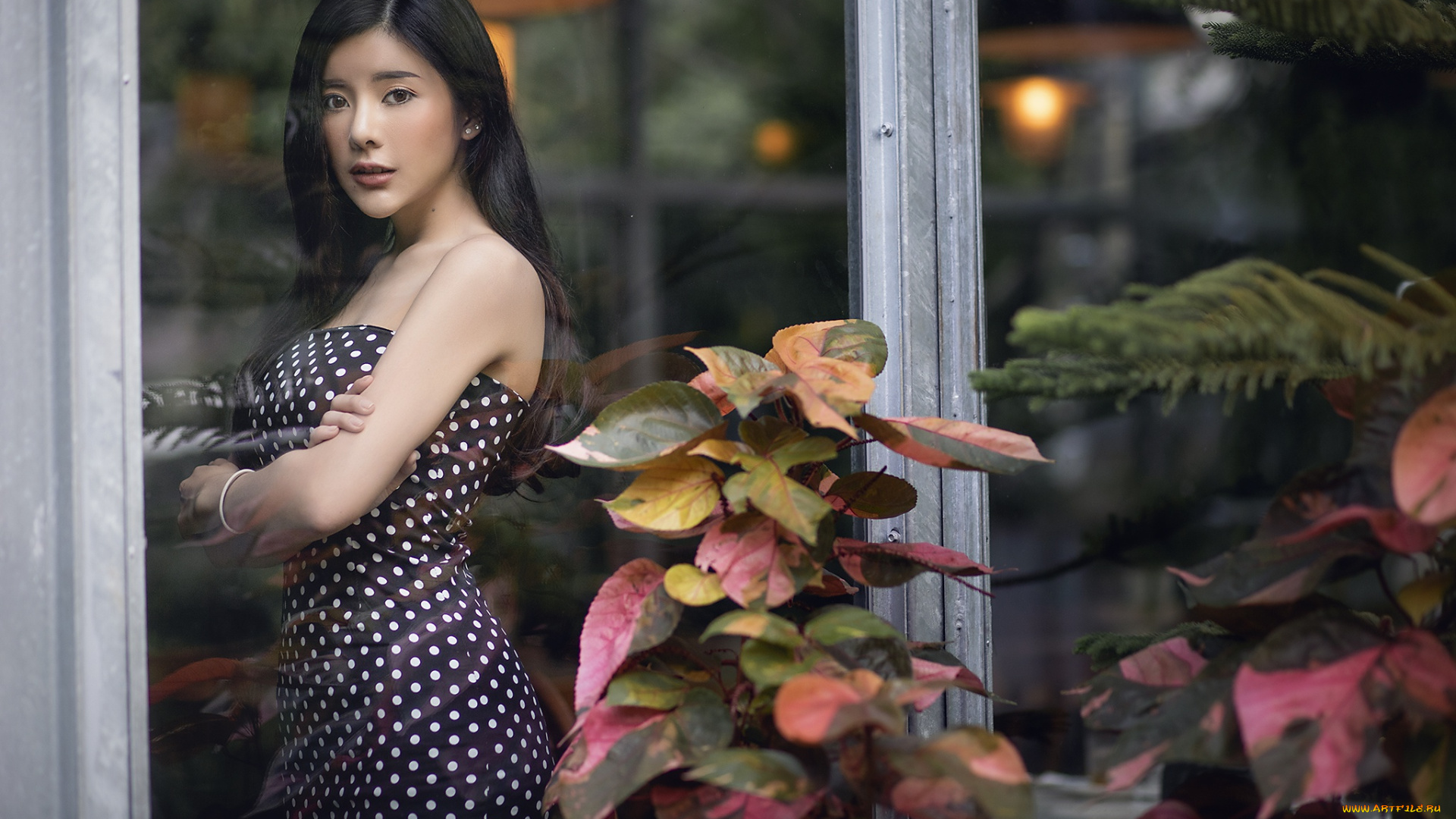 девушки, -unsort, , азиатки, plants, girls, модель, стекло, wallhaven, женщины, растения, model, women