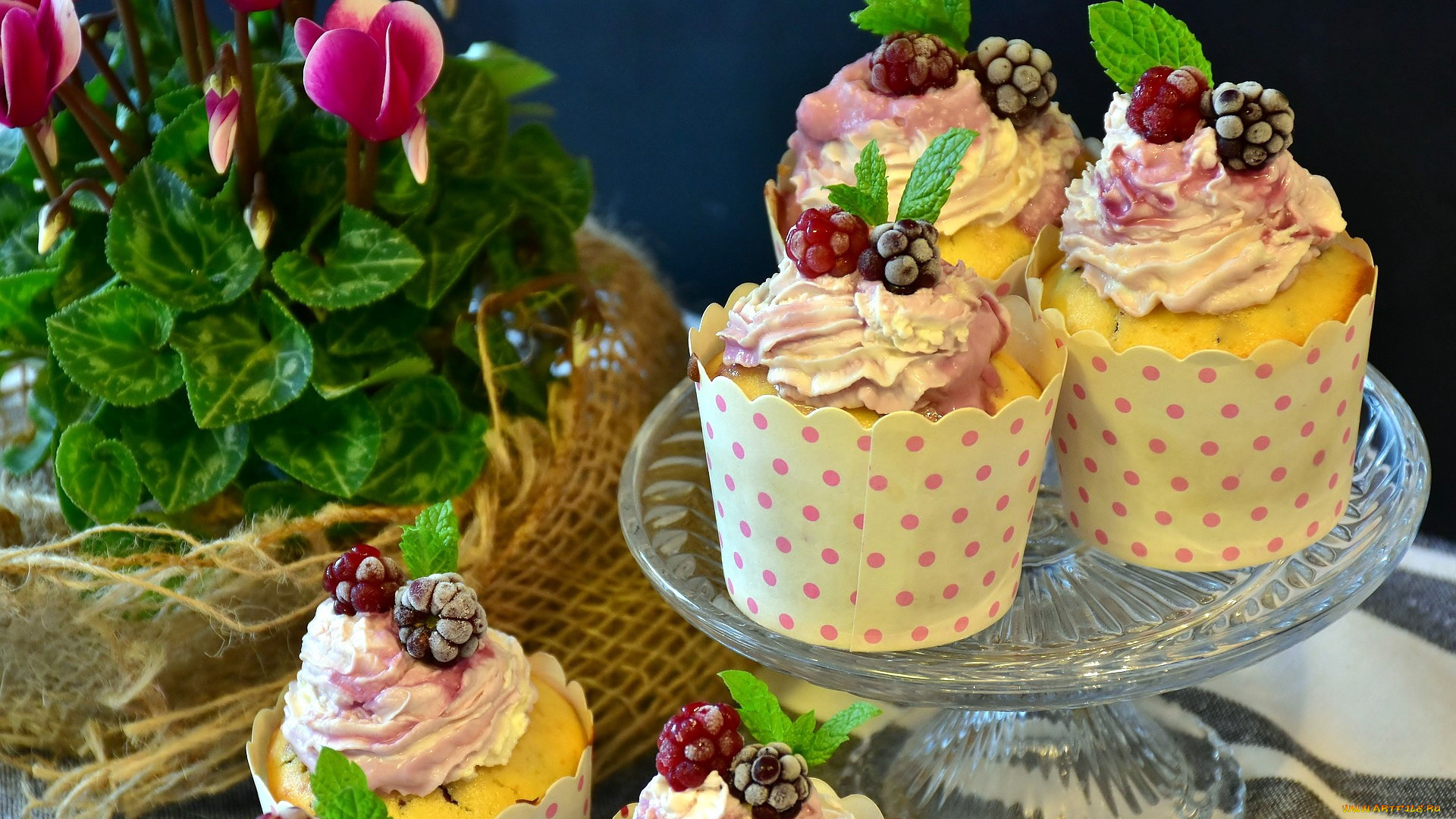 еда, пирожные, , кексы, , печенье, капкейки