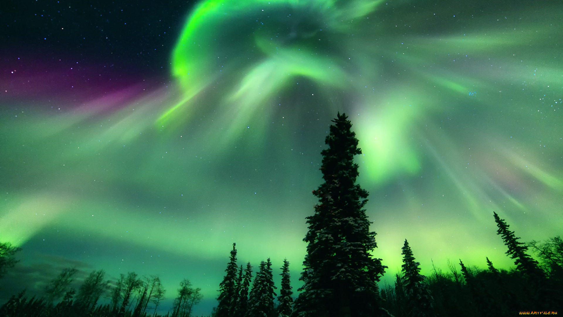 природа, северное, сияние, простор