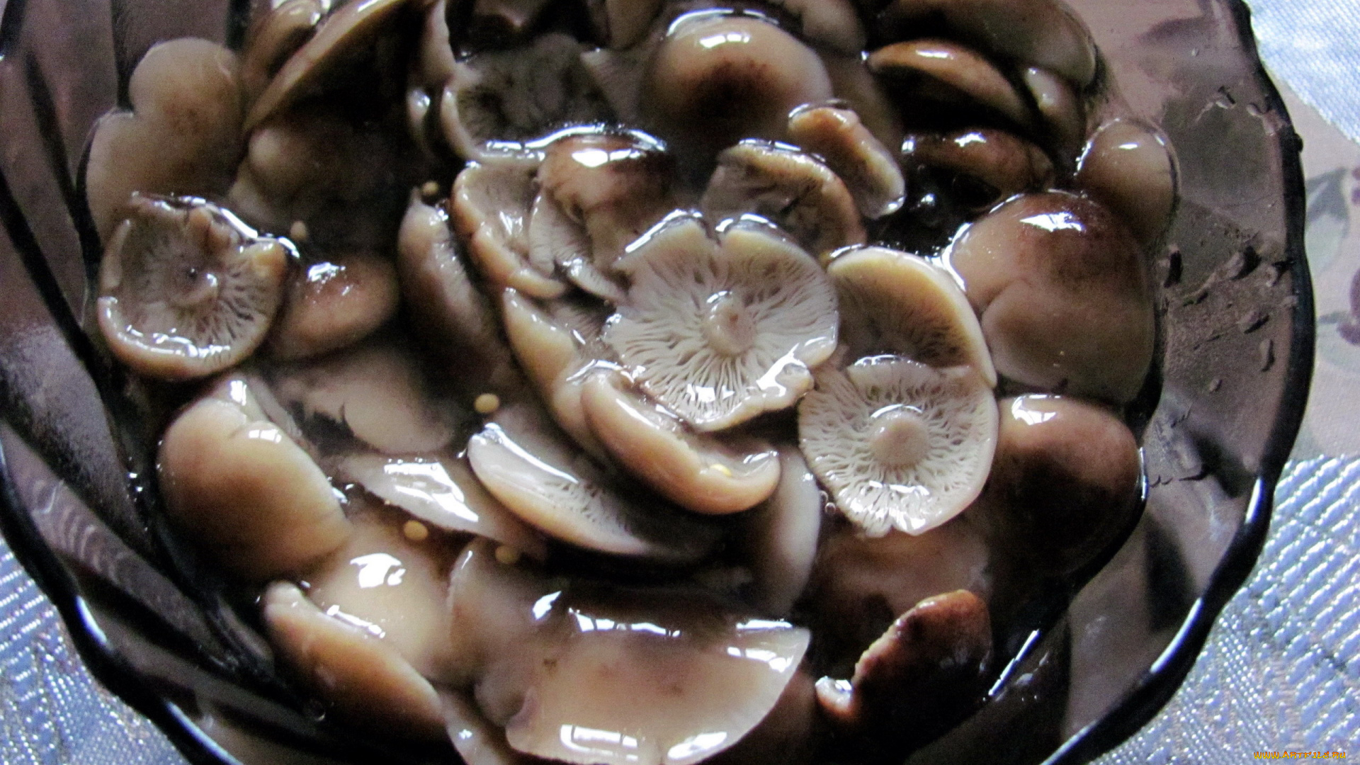 еда, грибы, , грибные, блюда, опята