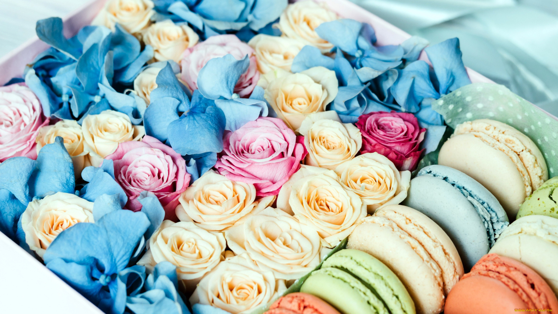 еда, макаруны, печенье, лакомство