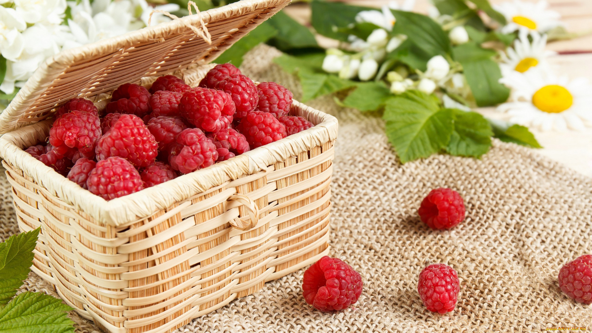 еда, малина, корзинка, ягоды