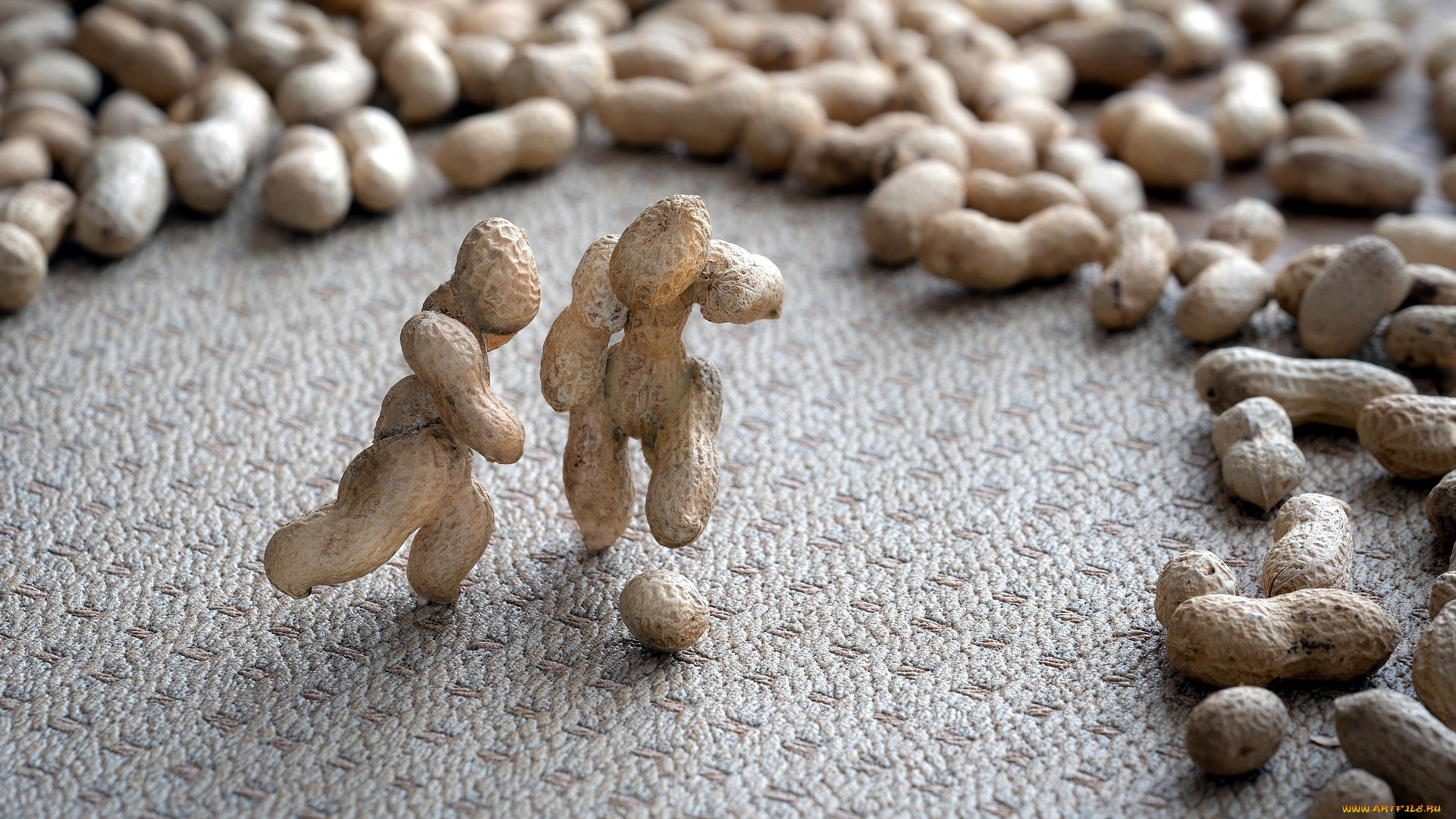 еда, орехи, , каштаны, , какао-бобы