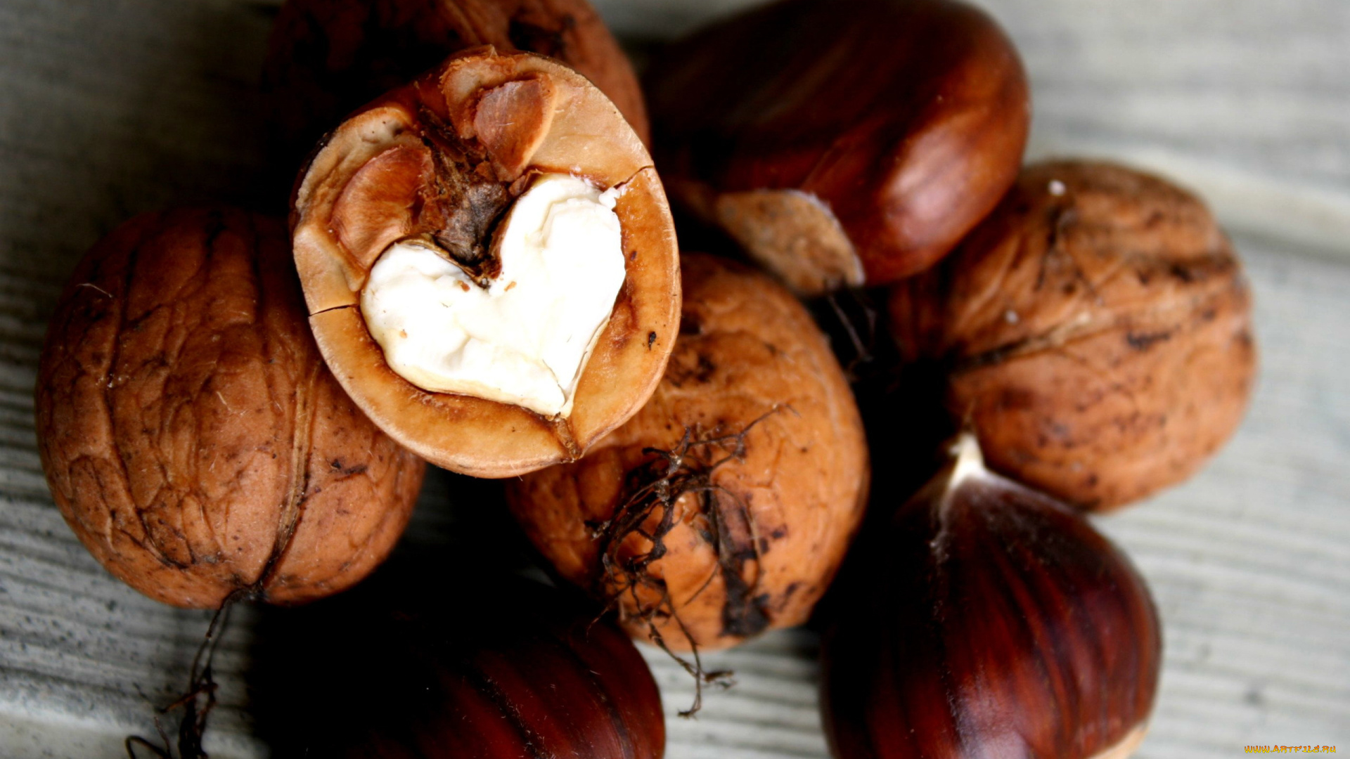 еда, орехи, , каштаны, , какао-бобы
