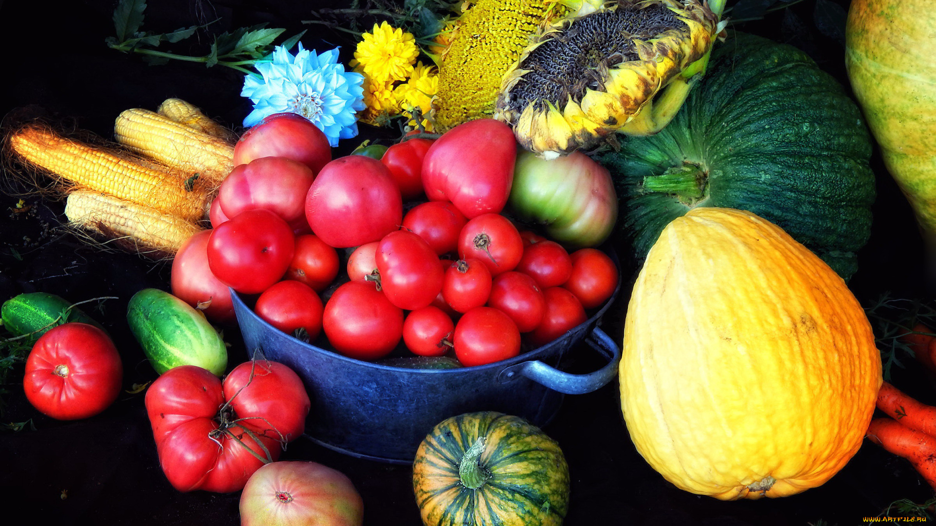 еда, овощи, кукуруза, помидоры