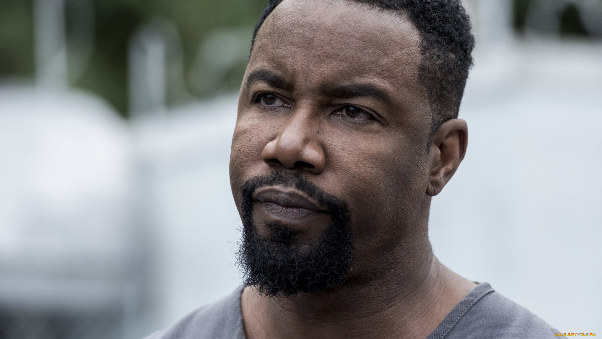 michael, jai, white, мужчины, -, unsort, портрет, майкл, джей, уайт, голливуд, американский, актер, кинозвезда, сша