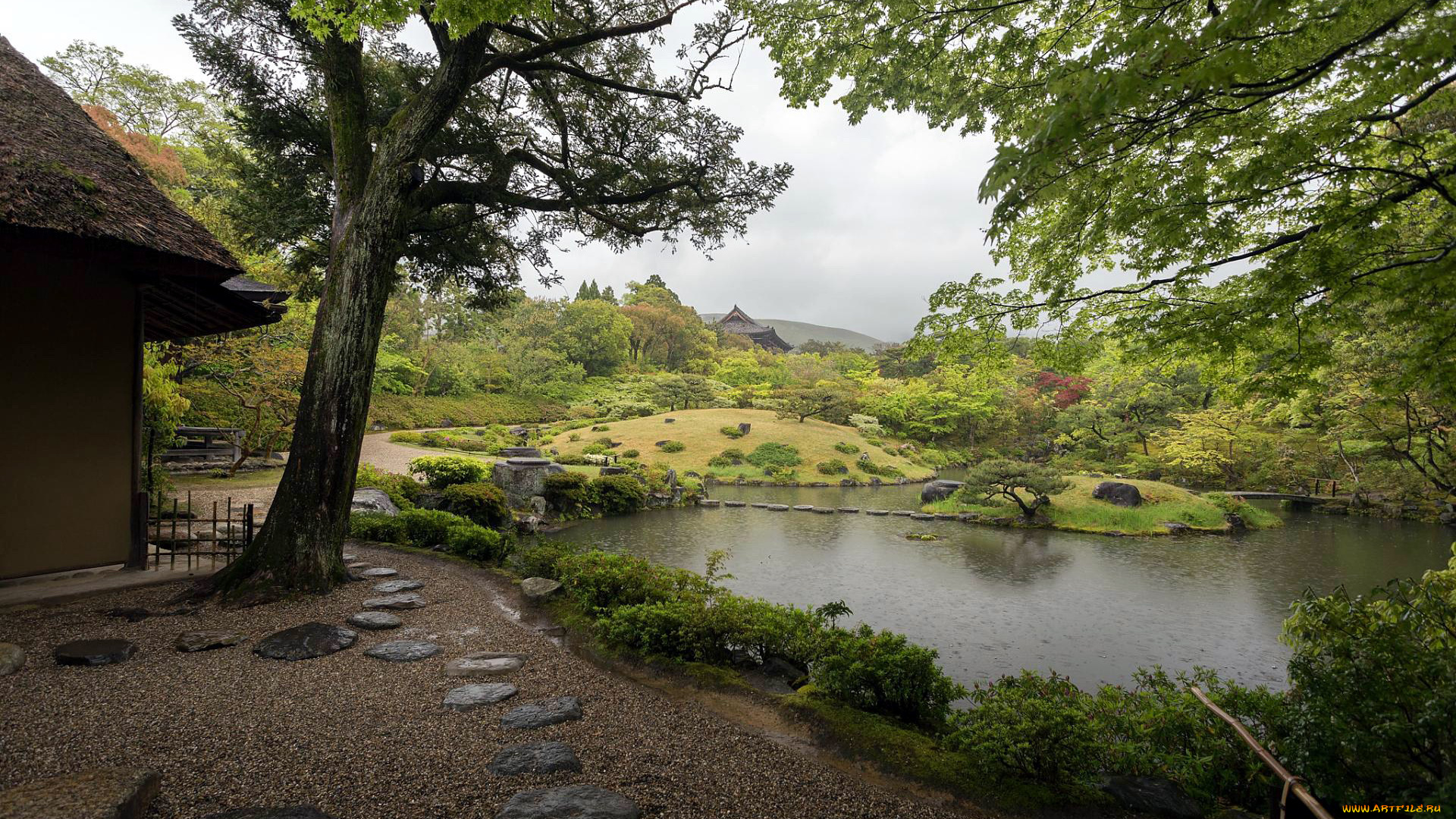 природа, парк