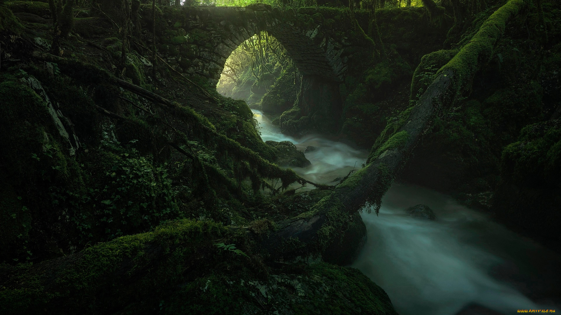 природа, реки, озера, мостик, поток, мох, ручей