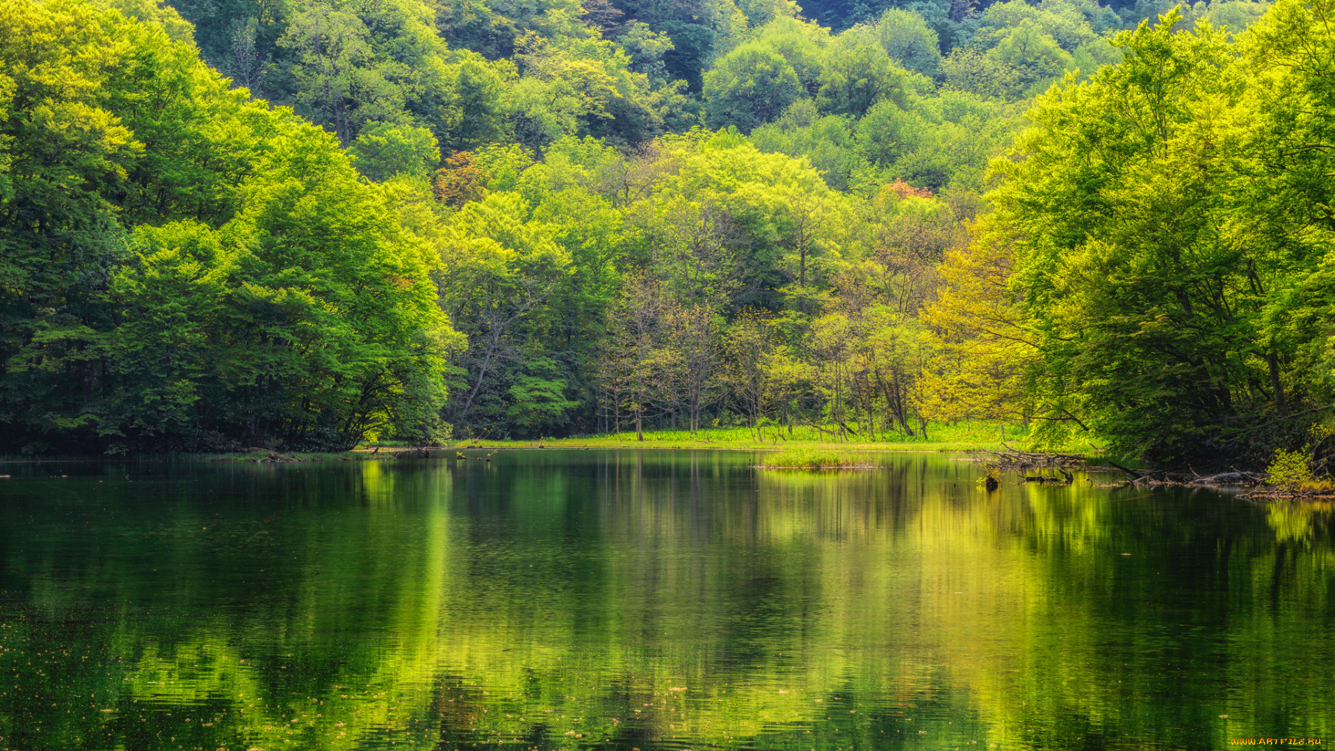 природа, реки, озера, река